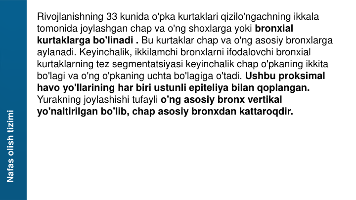 Nafas olish tizimi
Rivojlanishning 33 kunida o'pka kurtaklari qizilo'ngachning ikkala 
tomonida joylashgan chap va o'ng shoxlarga yoki bronxial 
kurtaklarga bo'linadi . Bu kurtaklar chap va o'ng asosiy bronxlarga 
aylanadi. Keyinchalik, ikkilamchi bronxlarni ifodalovchi bronxial 
kurtaklarning tez segmentatsiyasi keyinchalik chap o'pkaning ikkita 
bo'lagi va o'ng o'pkaning uchta bo'lagiga o'tadi. Ushbu proksimal 
havo yo'llarining har biri ustunli epiteliya bilan qoplangan. 
Yurakning joylashishi tufayli o'ng asosiy bronx vertikal 
yo'naltirilgan bo'lib, chap asosiy bronxdan kattaroqdir.
