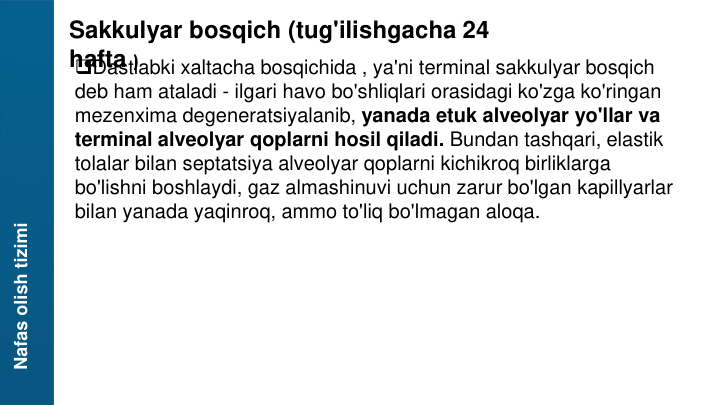 Nafas olish tizimi
Sakkulyar bosqich (tug'ilishgacha 24 
hafta )
Dastlabki xaltacha bosqichida , ya'ni terminal sakkulyar bosqich 
deb ham ataladi - ilgari havo bo'shliqlari orasidagi ko'zga ko'ringan 
mezenxima degeneratsiyalanib, yanada etuk alveolyar yo'llar va 
terminal alveolyar qoplarni hosil qiladi. Bundan tashqari, elastik 
tolalar bilan septatsiya alveolyar qoplarni kichikroq birliklarga 
bo'lishni boshlaydi, gaz almashinuvi uchun zarur bo'lgan kapillyarlar 
bilan yanada yaqinroq, ammo to'liq bo'lmagan aloqa.
