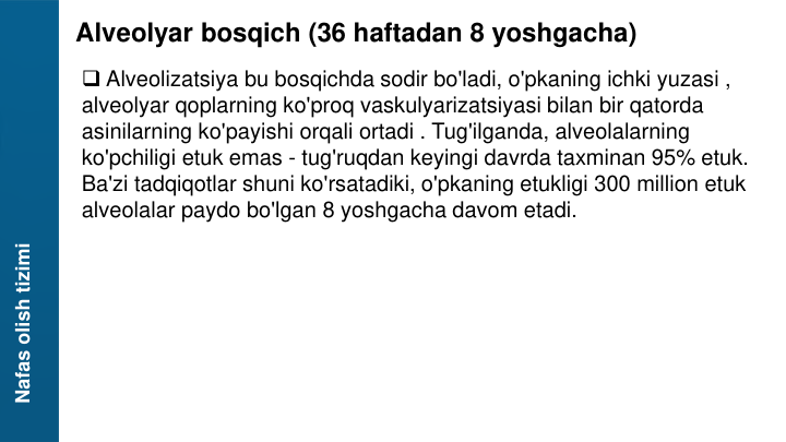 Nafas olish tizimi
Alveolyar bosqich (36 haftadan 8 yoshgacha)
Alveolizatsiya bu bosqichda sodir bo'ladi, o'pkaning ichki yuzasi , 
alveolyar qoplarning ko'proq vaskulyarizatsiyasi bilan bir qatorda 
asinilarning ko'payishi orqali ortadi . Tug'ilganda, alveolalarning 
ko'pchiligi etuk emas - tug'ruqdan keyingi davrda taxminan 95% etuk. 
Ba'zi tadqiqotlar shuni ko'rsatadiki, o'pkaning etukligi 300 million etuk 
alveolalar paydo bo'lgan 8 yoshgacha davom etadi.

