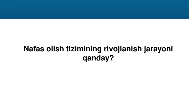 Nafas olish tizimining rivojlanish jarayoni 
qanday?
