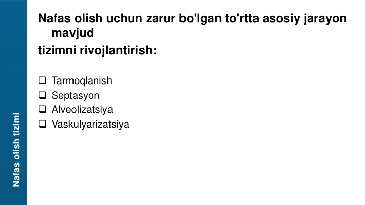 Nafas olish uchun zarur bo'lgan to'rtta asosiy jarayon 
mavjud
tizimni rivojlantirish:
Tarmoqlanish
Septasyon
Alveolizatsiya
Vaskulyarizatsiya
Nafas olish tizimi
