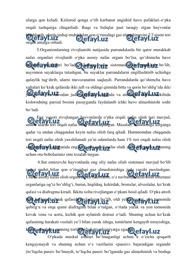 
 
ularga qon keladi. Kislorod qonga o‘tib karbanat angidrid havo pufaklari-o‘pka 
orqali tashqariga chiqariladi. Baqa va baliqlar past taraqiy etgan hayvonlar 
hisoblanib, ularda tashqi muhit bilan qon o‘rtasidagi gaz almashinuvini 2/3 qismi teri 
orqali amalga oshadi. 
 5.Organizmlarning rivojlanishi natijasida parrandalarda bir qator murakkab 
nafas organlari rivojlanib o‘pka asosiy nafas organi bo‘lsa, qo‘shimcha havo 
xaltalari, naychalari bo‘ladi. Ularning nafas sistemasi juda murakkab bo‘lib, 
naysimon suyaklarga tutashgan, bu suyaklar parrandalarni engillashtirib uchishga 
qulaylik tug‘dirib, ularni muvozanatini saqlaydi. Parrandalarda qo‘shimcha havo 
xaltalari ko‘krak qafasida ikki juft va oldingi qismida bitta va qorin bo‘shlig‘ida ikki 
juft bo‘lib, bu havodan juda yuqorida uchganda va atmosfera havosi tarkibida 
kislorodning parsial bosimi pasayganda faydalanib ichki havo almashinishi sodir 
bo‘ladi. 
 Eng yuqori rivojlangan hayvonlarda o‘pka orqali nafas olish turi mavjud, 
ammo ularda teri orqali nafas olish ham saqlangan. Masalan; hammomga kirganga 
qadar va undan chiqqandan keyin nafas olish farq qiladi. Hammomdan chiqqanda 
teri orqali nafas olish yaxshilanadi ya’ni odamlarda ham 1% teri orqali nafas olish 
saqlangan, ot ishlaganida eng ko‘p teri orqali nafas oladi ya’ni 8% gacha. Shuning 
uchun ota-bobolarimiz otni tozalab turgan. 
  6.Sut emizuvchi hayvonlarda eng oliy nafas olish sistemasi mavjud bo‘lib 
tashqi muhit bilan qon o‘rtasidagi gaz almashinishiga juda yaxshi moslashgan. 
Ularda asosiy nafas olish organi o‘pka hisoblanib, o‘z navbatida nafas olish sistemasi 
organlariga og‘iz bo‘shlig‘i, burun, hiqildoq, kekirdak, bronxlar, alveolalar, ko‘krak 
qafasi va diafragma kiradi. Ikkita xolta rivojlangan o‘pkani hosil qiladi. O‘pka atrofi 
berk bo‘lgan ko‘krak qafasida joylashgan bo‘lib, oldi yelka suyagi, yon tomonida 
qobirg‘a va orqa qismi diafragma bilan o‘ralgan, o‘rtada yurak va yon tomonida 
kovak vena va aorta, kichik qon aylanish doirasi o‘tadi. Shuning uchun ko‘krak 
qafasining harakati vositali yo‘l bilan yurak ishiga, tomirlarni kengayib torayishiga, 
kovak venalarga qonning tortilishida katta ahamiyatga egadir. 
  
O‘pkada muskul tolalari bo‘lmaganligi uchun u o‘zicha qisqarib 
kengaymaydi va shuning uchun o‘z vazifasini «passiv» bajaradigan organdir 
(to‘liqcha passiv bo‘lmaydi, to‘liqcha passiv bo‘lganida gaz almashinish va boshqa 
