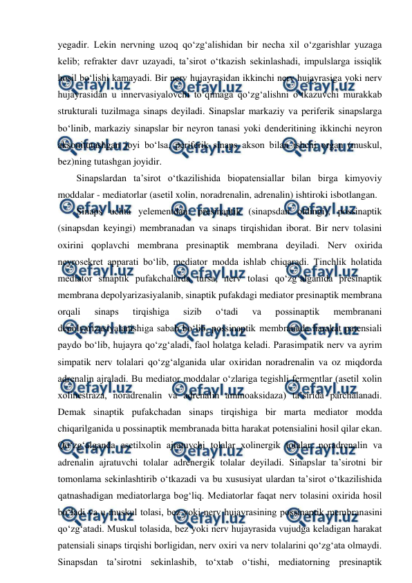  
 
yegadir. Lekin nervning uzoq qo‘zg‘alishidan bir necha xil o‘zgarishlar yuzaga 
kelib; refrakter davr uzayadi, ta’sirot o‘tkazish sekinlashadi, impulslarga issiqlik 
hosil bo‘lishi kamayadi. Bir nerv hujayrasidan ikkinchi nerv hujayrasiga yoki nerv 
hujayrasidan u innervasiyalovchi to‘qimaga qo‘zg‘alishni o‘tkazuvchi murakkab 
strukturali tuzilmaga sinaps deyiladi. Sinapslar markaziy va periferik sinapslarga 
bo‘linib, markaziy sinapslar bir neyron tanasi yoki denderitining ikkinchi neyron 
aksonitutashgan joyi bo‘lsa, periferik sinaps akson bilan ishchi organ (muskul, 
bez)ning tutashgan joyidir. 
Sinapslardan ta’sirot o‘tkazilishida biopatensiallar bilan birga kimyoviy 
moddalar - mediatorlar (asetil xolin, noradrenalin, adrenalin) ishtiroki isbotlangan. 
Sinaps uchta yelementdan: presinaptik (sinapsdan oldingi), possinaptik 
(sinapsdan keyingi) membranadan va sinaps tirqishidan iborat. Bir nerv tolasini 
oxirini qoplavchi membrana presinaptik membrana deyiladi. Nerv oxirida 
neyrosekret apparati bo‘lib, mediator modda ishlab chiqaradi. Tinchlik holatida 
mediator sinaptik pufakchalarda tursa, nerv tolasi qo‘zg‘alganida presinaptik 
membrana depolyarizasiyalanib, sinaptik pufakdagi mediator presinaptik membrana 
orqali 
sinaps 
tirqishiga 
sizib 
o‘tadi 
va 
possinaptik 
membranani 
depolyarizasiyalanishiga sabab bo‘lib, possinaptik membranada harakat patensiali 
paydo bo‘lib, hujayra qo‘zg‘aladi, faol holatga keladi. Parasimpatik nerv va ayrim 
simpatik nerv tolalari qo‘zg‘alganida ular oxiridan noradrenalin va oz miqdorda 
adrenalin ajraladi. Bu mediator moddalar o‘zlariga tegishli fermentlar (asetil xolin 
xolinestraza, noradrenalin va adrenalin aminoaksidaza) ta’sirida parchalanadi. 
Demak sinaptik pufakchadan sinaps tirqishiga bir marta mediator modda 
chiqarilganida u possinaptik membranada bitta harakat potensialini hosil qilar ekan. 
Qo‘zg‘alganda asetilxolin ajratuvchi tolalar xolinergik tolalar, noradrenalin va 
adrenalin ajratuvchi tolalar adrenergik tolalar deyiladi. Sinapslar ta’sirotni bir 
tomonlama sekinlashtirib o‘tkazadi va bu xususiyat ulardan ta’sirot o‘tkazilishida 
qatnashadigan mediatorlarga bog‘liq. Mediatorlar faqat nerv tolasini oxirida hosil 
bo‘ladi va u muskul tolasi, bez yoki nerv hujayrasining possinaptik membranasini 
qo‘zg‘atadi. Muskul tolasida, bez yoki nerv hujayrasida vujudga keladigan harakat 
patensiali sinaps tirqishi borligidan, nerv oxiri va nerv tolalarini qo‘zg‘ata olmaydi. 
Sinapsdan ta’sirotni sekinlashib, to‘xtab o‘tishi, mediatorning presinaptik 
