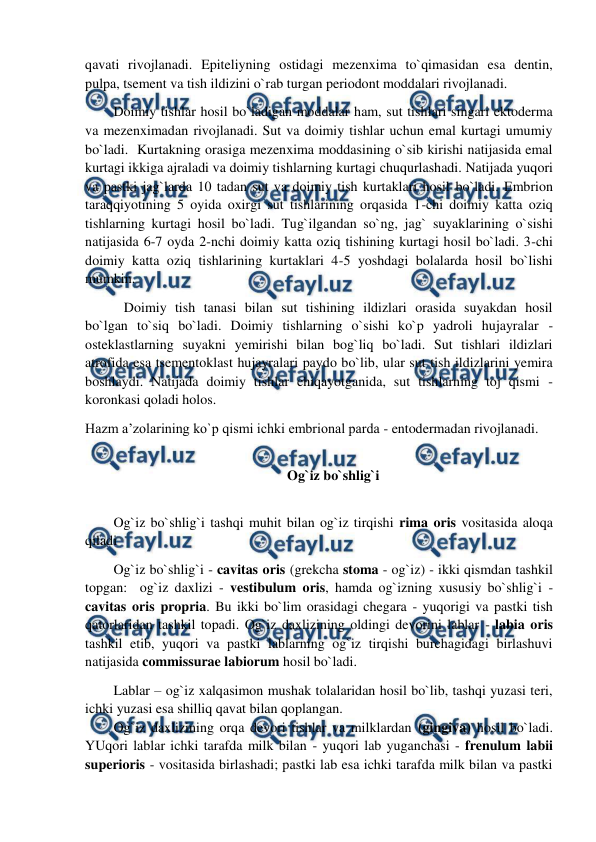  
 
qavati rivojlanadi. Epiteliyning ostidagi mezenxima to`qimasidan esa dentin, 
pulpa, tsement va tish ildizini o`rab turgan periodont moddalari rivojlanadi.  
Doimiy tishlar hosil bo`ladigan moddalar ham, sut tishlari singari ektoderma 
va mezenximadan rivojlanadi. Sut va doimiy tishlar uchun emal kurtagi umumiy 
bo`ladi.  Kurtakning orasiga mezenxima moddasining o`sib kirishi natijasida emal 
kurtagi ikkiga ajraladi va doimiy tishlarning kurtagi chuqurlashadi. Natijada yuqori 
va pastki jag`larda 10 tadan sut va doimiy tish kurtaklari hosil bo`ladi. Embrion 
taraqqiyotining 5 oyida oxirgi sut tishlarining orqasida 1-chi doimiy katta oziq 
tishlarning kurtagi hosil bo`ladi. Tug`ilgandan so`ng, jag` suyaklarining o`sishi 
natijasida 6-7 oyda 2-nchi doimiy katta oziq tishining kurtagi hosil bo`ladi. 3-chi 
doimiy katta oziq tishlarining kurtaklari 4-5 yoshdagi bolalarda hosil bo`lishi 
mumkin.  
   Doimiy tish tanasi bilan sut tishining ildizlari orasida suyakdan hosil 
bo`lgan to`siq bo`ladi. Doimiy tishlarning o`sishi ko`p yadroli hujayralar - 
osteklastlarning suyakni yemirishi bilan bog`liq bo`ladi. Sut tishlari ildizlari 
atrofida esa tsementoklast hujayralari paydo bo`lib, ular sut tish ildizlarini yemira 
boshlaydi. Natijada doimiy tishlar chiqayotganida, sut tishlarning toj qismi - 
koronkasi qoladi holos.  
Hazm a’zolarining ko`p qismi ichki embrional parda - entodermadan rivojlanadi. 
 
Og`iz bo`shlig`i 
 
Og`iz bo`shlig`i tashqi muhit bilan og`iz tirqishi rima oris vositasida aloqa 
qiladi 
Og`iz bo`shlig`i - cavitas oris (grekcha stoma - og`iz) - ikki qismdan tashkil 
topgan:  og`iz daxlizi - vestibulum oris, hamda og`izning xususiy bo`shlig`i - 
cavitas oris propria. Bu ikki bo`lim orasidagi chegara - yuqorigi va pastki tish 
qatorlaridan tashkil topadi. Og`iz daxlizining oldingi devorini lablar - labia oris 
tashkil etib, yuqori va pastki lablarning og`iz tirqishi burchagidagi birlashuvi 
natijasida commissurae labiorum hosil bo`ladi.  
Lablar – og`iz xalqasimon mushak tolalaridan hosil bo`lib, tashqi yuzasi teri, 
ichki yuzasi esa shilliq qavat bilan qoplangan.  
Og`iz daxlizining orqa devori tishlar va milklardan (gingiva) hosil bo`ladi.  
YUqori lablar ichki tarafda milk bilan - yuqori lab yuganchasi - frenulum labii 
superioris - vositasida birlashadi; pastki lab esa ichki tarafda milk bilan va pastki 
