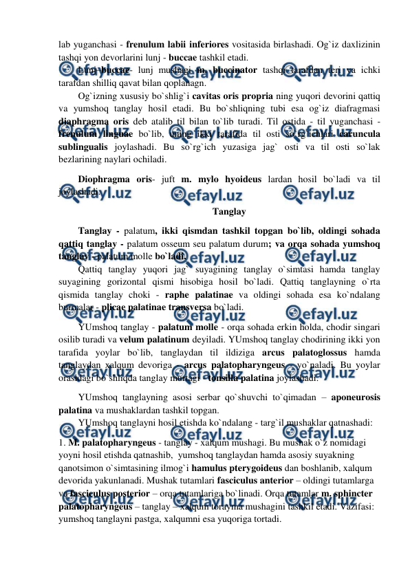  
 
lab yuganchasi - frenulum labii inferiores vositasida birlashadi. Og`iz daxlizinin 
tashqi yon devorlarini lunj - buccae tashkil etadi.  
Lunj–buccae- lunj mushagi m. buccinator tashqi tarafdan teri va ichki 
tarafdan shilliq qavat bilan qoplanagn. 
Og`izning xususiy bo`shlig`i cavitas oris propria ning yuqori devorini qattiq 
va yumshoq tanglay hosil etadi. Bu bo`shliqning tubi esa og`iz diafragmasi 
diaphragma oris deb atalib til bilan to`lib turadi. Til ostida - til yuganchasi - 
frenulum linguae bo`lib, uning ikki tarafida til osti so`rg`ichlari caruncula 
sublingualis joylashadi. Bu so`rg`ich yuzasiga jag` osti va til osti so`lak 
bezlarining naylari ochiladi.  
Diophragma oris- juft m. mylo hyoideus lardan hosil bo`ladi va til 
joylashadi. 
Tanglay 
Tanglay - palatum, ikki qismdan tashkil topgan bo`lib, oldingi sohada 
qattiq tanglay - palatum osseum seu palatum durum; va orqa sohada yumshoq 
tanglay - palatum molle bo`ladi.  
Qattiq tanglay yuqori jag` suyagining tanglay o`simtasi hamda tanglay 
suyagining gorizontal qismi hisobiga hosil bo`ladi. Qattiq tanglayning o`rta 
qismida tanglay choki - raphe palatinae va oldingi sohada esa ko`ndalang 
burmalar - plicae palatinae transversa bo`ladi.  
YUmshoq tanglay - palatum molle - orqa sohada erkin holda, chodir singari 
osilib turadi va velum palatinum deyiladi. YUmshoq tanglay chodirining ikki yon 
tarafida yoylar bo`lib, tanglaydan til ildiziga arcus palatoglossus hamda 
tanglaydan xalqum devoriga - arcus palatopharyngeus - yo`naladi. Bu yoylar 
orasidagi bo`shliqda tanglay murtagi - tonsilla palatina joylashadi.  
YUmshoq tanglayning asosi serbar qo`shuvchi to`qimadan – aponeurosis 
palatina va mushaklardan tashkil topgan.   
YUmshoq tanglayni hosil etishda ko`ndalang - targ`il mushaklar qatnashadi:  
1. M. palatopharyngeus - tanglay - xalqum mushagi. Bu mushak o`z nomidagi 
yoyni hosil etishda qatnashib,  yumshoq tanglaydan hamda asosiy suyakning 
qanotsimon o`simtasining ilmog`i hamulus pterygoideus dan boshlanib, xalqum 
devorida yakunlanadi. Mushak tutamlari fasciculus anterior – oldingi tutamlarga 
va fasciculus posterior – orqa tutamlariga bo`linadi. Orqa tutamlar m. sphincter 
palatopharyngeus – tanglay – xalqum torayma mushagini tashkil etadi. Vazifasi: 
yumshoq tanglayni pastga, xalqumni esa yuqoriga tortadi. 
