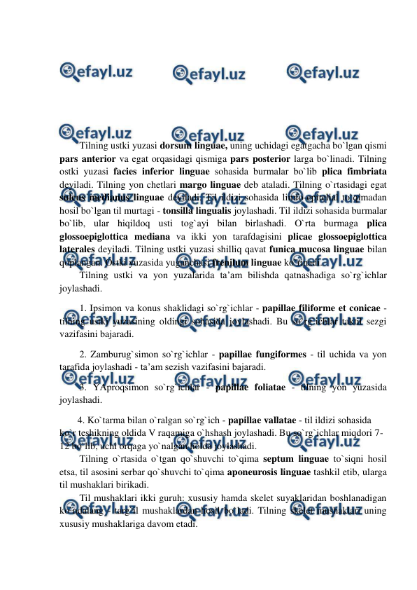  
 
 
 
 
 
 
Tilning ustki yuzasi dorsum linguae, uning uchidagi egatgacha bo`lgan qismi 
pars anterior va egat orqasidagi qismiga pars posterior larga bo`linadi. Tilning 
ostki yuzasi facies inferior linguae sohasida burmalar bo`lib plica fimbriata 
deyiladi. Tilning yon chetlari margo linguae deb ataladi. Tilning o`rtasidagi egat 
sulcus medianus linguae deyiladi. Til ildizi sohasida limfo-epitelial to`qimadan 
hosil bo`lgan til murtagi - tonsilla lingualis joylashadi. Til ildizi sohasida burmalar 
bo`lib, ular hiqildoq usti tog`ayi bilan birlashadi. O`rta burmaga plica 
glossoepiglottica mediana va ikki yon tarafdagisini plicae glossoepiglottica 
laterales deyiladi. Tilning ustki yuzasi shilliq qavat funica mucosa linguae bilan 
qoplangan. Ostki yuzasida yuganchasi frenilum linguae ko`rinadi.  
Tilning ustki va yon yuzalarida ta’am bilishda qatnashadiga so`rg`ichlar 
joylashadi.  
1. Ipsimon va konus shaklidagi so`rg`ichlar - papillae filiforme et conicae - 
tilning ustki yuzasining oldingi sohasida joylashadi. Bu so`rg`ichlar taktil sezgi 
vazifasini bajaradi.  
2. Zamburug`simon so`rg`ichlar - papillae fungiformes - til uchida va yon 
tarafida joylashadi - ta’am sezish vazifasini bajaradi.  
3. YAproqsimon so`rg`ichlar - papillae foliatae - tilning yon yuzasida 
joylashadi.  
  4. Ko`tarma bilan o`ralgan so`rg`ich - papillae vallatae - til ildizi sohasida 
ko`r teshikning oldida V raqamiga o`hshash joylashadi. Bu so`rg`ichlar miqdori 7-
12 bo`lib, uchi orqaga yo`nalgan holda joylashadi.  
Tilning o`rtasida o`tgan qo`shuvchi to`qima septum linguae to`siqni hosil 
etsa, til asosini serbar qo`shuvchi to`qima aponeurosis linguae tashkil etib, ularga 
til mushaklari birikadi.  
Til mushaklari ikki guruh: xususiy hamda skelet suyaklaridan boshlanadigan 
ko`ndalang - targ`il mushaklardan hosil bo`ladi. Tilning skelet mushaklari uning 
xususiy mushaklariga davom etadi.  
