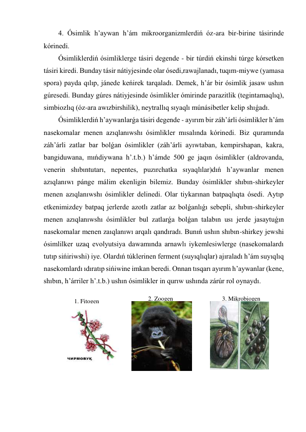 4. Ósimlik h’aywan h’ám mikroorganizmlerdiń óz-ara bir-birine tásirinde 
kórinedi. 
Ósimliklerdiń ósimliklerge tásiri degende - bir túrdiń ekinshi túrge kórsetken 
tásiri kiredi. Bunday tásir nátiyjesinde olar ósedi,rawajlanadı, tuqım-miywe (yamasa 
spora) payda qılıp, jánede keńirek tarqaladı. Demek, h’ár bir ósimlik jasaw ushın 
gúresedi. Bunday gúres nátiyjesinde ósimlikler ómirinde parazitlik (tegintamaqlıq), 
simbiozlıq (óz-ara awızbirshilik), neytrallıq sıyaqlı múnásibetler kelip shıǵadı. 
Ósimliklerdiń h’aywanlarǵa tásiri degende - ayırım bir záh’árli ósimlikler h’ám 
nasekomalar menen azıqlanıwshı ósimlikler mısalında kórinedi. Biz quramında 
záh’árli zatlar bar bolǵan ósimlikler (záh’árli ayıwtaban, kempirshapan, kakra, 
bangiduwana, mıńdiywana h’.t.b.) h’ámde 500 ge jaqın ósimlikler (aldrovanda, 
venerin shıbıntutarı, nepentes, puzırchatka sıyaqlılar)dıń h’aywanlar menen 
azıqlanıwı pánge málim ekenligin bilemiz. Bunday ósimlikler shıbın-shirkeyler 
menen azıqlanıwshı ósimlikler delinedi. Olar tiykarınan batpaqlıqta ósedi. Aytıp 
etkenimizdey batpaq jerlerde azotlı zatlar az bolǵanlıǵı sebepli, shıbın-shirkeyler 
menen azıqlanıwshı ósimlikler bul zatlarǵa bolǵan talabın usı jerde jasaytuǵın 
nasekomalar menen zaıqlanıwı arqalı qandıradı. Bunıń ushın shıbın-shirkey jewshi 
ósimlilker uzaq evolyutsiya dawamında arnawlı iykemlesiwlerge (nasekomalardı 
tutıp sińiriwshi) iye. Olardıń túklerinen ferment (suyıqlıqlar) ajıraladı h’ám suyıqlıq 
nasekomlardı ıdıratıp sińiwine imkan beredi. Onnan tısqarı ayırım h’aywanlar (kene, 
shıbın, h’árriler h’.t.b.) ushın ósimlikler in qurıw ushında zárúr rol oynaydı.                         
 
 
 
 
1. Fitogen 
 
2. Zoogen 
 
3. Mikrobiogen 
