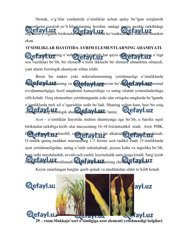  
 
Demak, o’g’itlar yordamida o’simliklar uchun qulay bo’lgan oziqlanish 
sharoitlarini yaratish yo’li bilan 
ularning hosilini, undagi quruq modda tarkibidagi 
eng zaruriy organik birikmalar miqdorini va sifat ko’rsatkichlarini oshirishi mumkin 
ekan. 
O’SIMLIKLAR HAYOTIDA AYRIM ELEMENTLARNING AHAMIYATI. 
O’simliklarning o’sish va rivojlanishida har qaysi oziq elementlarning o’ziga 
xos vazifalari bo’lib, bir element o’rnini ikkinchi bir element almashtira olmaydi, 
yani ularni fiziologik ahamiyati xilma xildir. 
Biron bir makro yoki mikroelementning yetishmasligi o’simliklarda 
fiziologik jarayonlarning va moddalar almashinuvini bo’zilishiga, ularning normal 
rivojlanmasligiga, hosil miqdorini kamayishiga va uning sifatini yomonlashishiga 
olib keladi. Oziq elementlari yetishmaganda yoki ular ortiqcha miqdorda bo’lganda 
o’simliklarda turli xil o’zgarishlar sodir bo’ladi. Shuning uchun ham, bazi bir oziq 
elementlarning fiziologik ahamiyatiga to’xtalib o’tamiz. 
Azot - o’simliklar hayotida muhim ahamiyatga ega bo’lib, u barcha oqsil 
birikmalar tarkibiga kirib, ular massasining 16-18 foizini 
tashkil etadi. Azot PHK, 
DNK, fermentlar, xlorofill, vitaminlar va bazi bir alkaloidlar tarkibiga ham kiradi. 
O’simlik quruq moddasi massasining 1-3 foizini azot tashkil etadi. O’simliklarda 
azot yetishmasligidan, uning o’sishi sekinlashadi, poyasi kalta va ingichka bo’lib, 
barg sathi maydalashib, avvalo och yashil, keyinchalik sariq tusga kiradi. Sarg’ayish 
barg tomirlaridan boshlanadi va barg plastinkalarining chetlariga tarqaladi.  
Keyin zararlangan barglar qurib qoladi va muddatidan oldin to’kilib ketadi. 
 
29 – rasm.Makkajo’xori o’simligiga azot elementi yetishmasligi belgilari. 
