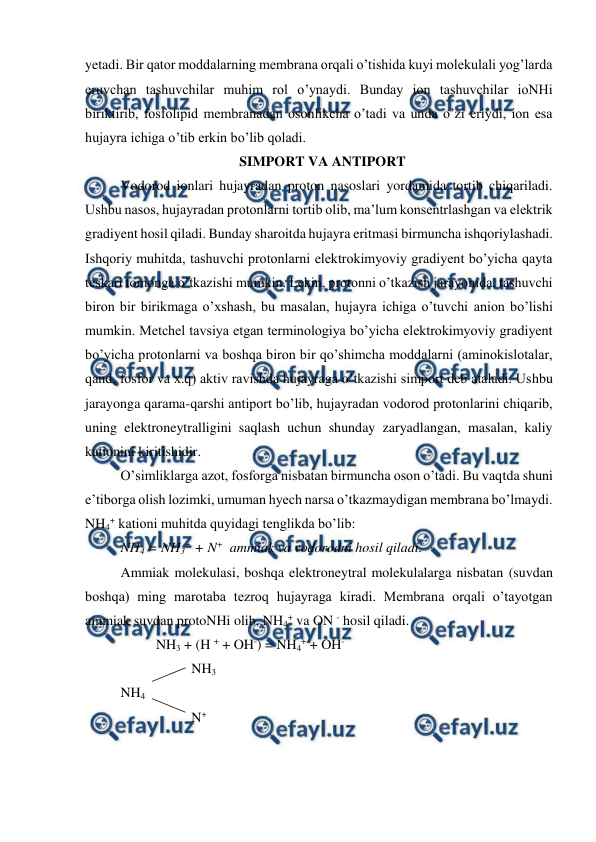  
 
yetadi. Bir qator moddalarning membrana orqali o’tishida kuyi molekulali yog’larda 
eruvchan tashuvchilar muhim rol o’ynaydi. Bunday ion tashuvchilar ioNHi 
biriktirib, fosfolipid membranadan osonlikcha o’tadi va unda o’zi eriydi, ion esa 
hujayra ichiga o’tib erkin bo’lib qoladi. 
SIMPORT VA ANTIPORT 
Vodorod ionlari hujayradan proton nasoslari yordamida tortib chiqariladi. 
Ushbu nasos, hujayradan protonlarni tortib olib, ma’lum konsentrlashgan va elektrik 
gradiyent hosil qiladi. Bunday sharoitda hujayra eritmasi birmuncha ishqoriylashadi. 
Ishqoriy muhitda, tashuvchi protonlarni elektrokimyoviy gradiyent bo’yicha qayta 
teskari tomonga o’tkazishi mumkin. Lekin, protonni o’tkazish jarayonida, tashuvchi 
biron bir birikmaga o’xshash, bu masalan, hujayra ichiga o’tuvchi anion bo’lishi 
mumkin. Metchel tavsiya etgan terminologiya bo’yicha elektrokimyoviy gradiyent 
bo’yicha protonlarni va boshqa biron bir qo’shimcha moddalarni (aminokislotalar, 
qand, fosfor va x.q) aktiv ravishda hujayraga o’tkazishi simport deb ataladi. Ushbu 
jarayonga qarama-qarshi antiport bo’lib, hujayradan vodorod protonlarini chiqarib, 
uning elektroneytralligini saqlash uchun shunday zaryadlangan, masalan, kaliy 
kationini kiritishidir. 
O’simliklarga azot, fosforga nisbatan birmuncha oson o’tadi. Bu vaqtda shuni 
e’tiborga olish lozimki, umuman hyech narsa o’tkazmaydigan membrana bo’lmaydi. 
NH4+ kationi muhitda quyidagi tenglikda bo’lib: 
NH4 = NH3+ + N+  ammiak va vodorodni hosil qiladi.  
Ammiak molekulasi, boshqa elektroneytral molekulalarga nisbatan (suvdan 
boshqa) ming marotaba tezroq hujayraga kiradi. Membrana orqali o’tayotgan 
ammiak suvdan protoNHi olib, NH4+ va ON - hosil qiladi. 
 
 
NH3 + (H + + OH-) = NH4+ + OH- 
 
 
 
NH3 
 
NH4 
 
 
 
N+ 
