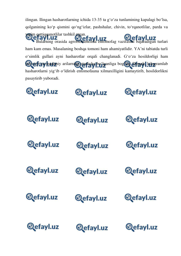 
 
ilingan. Ilingan hasharotlarning ichida 13-35 ta g‘o‘za tunlamining kapalagi bo‘lsa, 
qolganining ko‘p qismini qo‘ng‘izlar, pashshalar, chivin, to‘rqanotlilar, parda va 
yarim qattiqqanotlilar tashkil etgan.  
Bularning orasida agrobiotsenozda entomofag vazifasini bajaradigan turlari 
ham kam emas. Masalaning boshqa tomoni ham ahamiyatlidir. YA’ni tabiatda turli 
o‘simlik gullari ayni hasharotlar orqali changlanadi. G‘o‘za hosildorligi ham 
yovvoyi va madaniy arilarning etarlicha bo‘lganliga bog‘liq. Demak, kilogramlab 
hasharotlarni yig‘ib o‘ldirish entomofauna xilmaxilligini kamaytirib, hosildorlikni 
pasaytirib yuboradi. 
 
 
 
 
 
