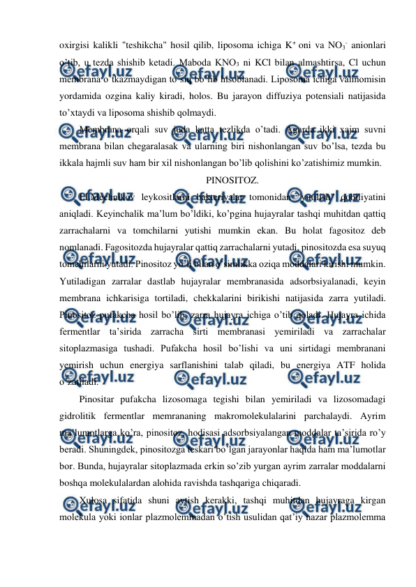  
 
oxirgisi kalikli "teshikcha" hosil qilib, liposoma ichiga K+ oni va NO3- anionlari 
o’tib, u tezda shishib ketadi. Maboda KNO3 ni KCl bilan almashtirsa, Cl uchun 
membrana o’tkazmaydigan to’siq bo’lib hisoblanadi. Liposoma ichiga valinomisin 
yordamida ozgina kaliy kiradi, holos. Bu jarayon diffuziya potensiali natijasida 
to’xtaydi va liposoma shishib qolmaydi. 
Membrana orqali suv juda katta tezlikda o’tadi. Agarda ikki xajm suvni 
membrana bilan chegaralasak va ularning biri nishonlangan suv bo’lsa, tezda bu 
ikkala hajmli suv ham bir xil nishonlangan bo’lib qolishini ko’zatishimiz mumkin. 
PINOSITOZ. 
I.I.Mechnikov leykositlarni bakteriyalar tomonidan "yutilish" qobiliyatini 
aniqladi. Keyinchalik ma’lum bo’ldiki, ko’pgina hujayralar tashqi muhitdan qattiq 
zarrachalarni va tomchilarni yutishi mumkin ekan. Bu holat fagositoz deb 
nomlanadi. Fagositozda hujayralar qattiq zarrachalarni yutadi, pinositozda esa suyuq 
tomchilarni yutadi. Pinositoz yo’li bilan o’simlikka oziqa moddalari kirishi mumkin. 
Yutiladigan zarralar dastlab hujayralar membranasida adsorbsiyalanadi, keyin 
membrana ichkarisiga tortiladi, chekkalarini birikishi natijasida zarra yutiladi. 
Pinositoz pufakcha hosil bo’lib, zarra hujayra ichiga o’tib qoladi. Hujayra ichida 
fermentlar ta’sirida zarracha sirti membranasi yemiriladi va zarrachalar 
sitoplazmasiga tushadi. Pufakcha hosil bo’lishi va uni sirtidagi membranani 
yemirish uchun energiya sarflanishini talab qiladi, bu energiya ATF holida 
o’zatiladi. 
Pinositar pufakcha lizosomaga tegishi bilan yemiriladi va lizosomadagi 
gidrolitik fermentlar memrananing makromolekulalarini parchalaydi. Ayrim 
ma’lumotlarga ko’ra, pinositoz, hodisasi adsorbsiyalangan moddalar ta’sirida ro’y 
beradi. Shuningdek, pinositozga teskari bo’lgan jarayonlar haqida ham ma’lumotlar 
bor. Bunda, hujayralar sitoplazmada erkin so’zib yurgan ayrim zarralar moddalarni 
boshqa molekulalardan alohida ravishda tashqariga chiqaradi. 
Xulosa sifatida shuni aytish kerakki, tashqi muhitdan hujayraga kirgan 
molekula yoki ionlar plazmolemmadan o’tish usulidan qat’iy nazar plazmolemma 
