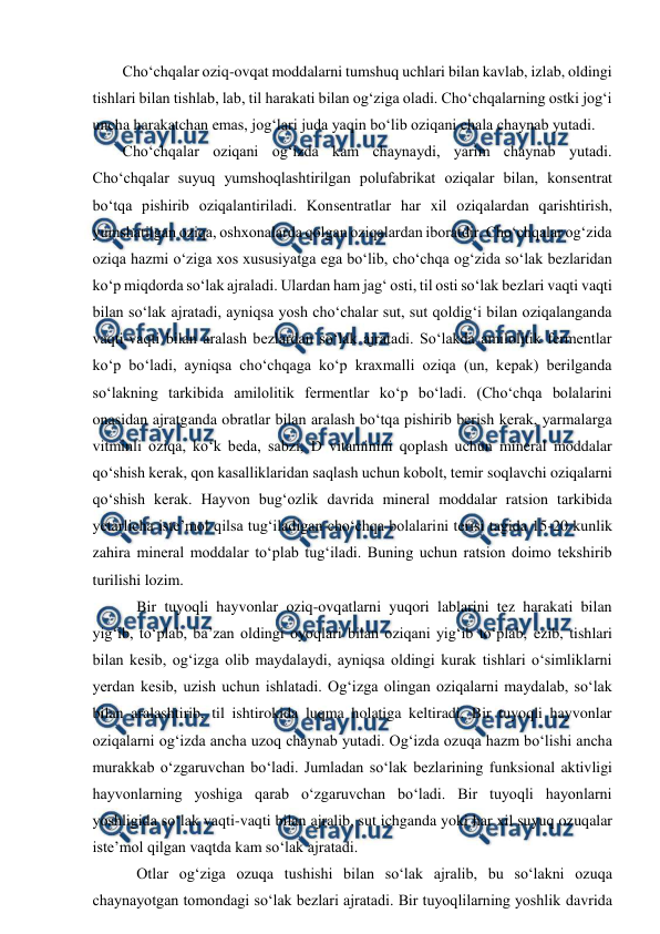  
 
Cho‘chqalar oziq-ovqat moddalarni tumshuq uchlari bilan kavlab, izlab, oldingi 
tishlari bilan tishlab, lab, til harakati bilan og‘ziga oladi. Cho‘chqalarning ostki jog‘i 
uncha harakatchan emas, jog‘lari juda yaqin bo‘lib oziqani chala chaynab yutadi.  
Cho‘chqalar oziqani og‘izda kam chaynaydi, yarim chaynab yutadi. 
Cho‘chqalar suyuq yumshoqlashtirilgan polufabrikat oziqalar bilan, konsentrat 
bo‘tqa pishirib oziqalantiriladi. Konsentratlar har xil oziqalardan qarishtirish, 
yumshatilgan oziqa, oshxonalarda qolgan oziqalardan iboratdir. Cho‘chqalar og‘zida 
oziqa hazmi o‘ziga xos xususiyatga ega bo‘lib, cho‘chqa og‘zida so‘lak bezlaridan 
ko‘p miqdorda so‘lak ajraladi. Ulardan ham jag‘ osti, til osti so‘lak bezlari vaqti vaqti 
bilan so‘lak ajratadi, ayniqsa yosh cho‘chalar sut, sut qoldig‘i bilan oziqalanganda 
vaqti-vaqti bilan aralash bezlardan so‘lak ajratadi. So‘lakda amilolitik fermentlar 
ko‘p bo‘ladi, ayniqsa cho‘chqaga ko‘p kraxmalli oziqa (un, kepak) berilganda 
so‘lakning tarkibida amilolitik fermentlar ko‘p bo‘ladi. (Cho‘chqa bolalarini 
onasidan ajratganda obratlar bilan aralash bo‘tqa pishirib berish kerak, yarmalarga 
vitminli oziqa, ko‘k beda, sabzi, D vitaminini qoplash uchun mineral moddalar 
qo‘shish kerak, qon kasalliklaridan saqlash uchun kobolt, temir soqlavchi oziqalarni 
qo‘shish kerak. Hayvon bug‘ozlik davrida mineral moddalar ratsion tarkibida 
yetarlicha iste’mol qilsa tug‘iladigan cho‘chqa bolalarini terisi tagida 15-20 kunlik 
zahira mineral moddalar to‘plab tug‘iladi. Buning uchun ratsion doimo tekshirib 
turilishi lozim. 
 Bir tuyoqli hayvonlar oziq-ovqatlarni yuqori lablarini tez harakati bilan 
yig‘ib, to‘plab, ba’zan oldingi oyoqlari bilan oziqani yig‘ib to‘plab, ezib, tishlari 
bilan kesib, og‘izga olib maydalaydi, ayniqsa oldingi kurak tishlari o‘simliklarni 
yerdan kesib, uzish uchun ishlatadi. Og‘izga olingan oziqalarni maydalab, so‘lak 
bilan aralashtirib, til ishtirokida luqma holatiga keltiradi. Bir tuyoqli hayvonlar 
oziqalarni og‘izda ancha uzoq chaynab yutadi. Og‘izda ozuqa hazm bo‘lishi ancha 
murakkab o‘zgaruvchan bo‘ladi. Jumladan so‘lak bezlarining funksional aktivligi 
hayvonlarning yoshiga qarab o‘zgaruvchan bo‘ladi. Bir tuyoqli hayonlarni 
yoshligida so‘lak vaqti-vaqti bilan ajralib, sut ichganda yoki har xil suyuq ozuqalar 
iste’mol qilgan vaqtda kam so‘lak ajratadi. 
 Otlar og‘ziga ozuqa tushishi bilan so‘lak ajralib, bu so‘lakni ozuqa 
chaynayotgan tomondagi so‘lak bezlari ajratadi. Bir tuyoqlilarning yoshlik davrida 
