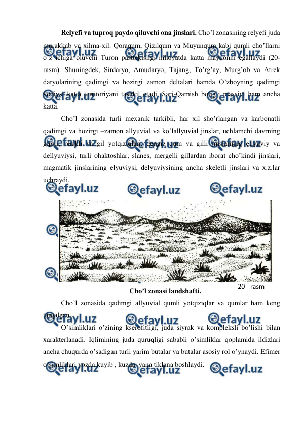  
 
Relyefi va tuproq paydo qiluvchi ona jinslari. Cho’l zonasining relyefi juda 
murakkab va xilma-xil. Qoraqum, Qizilqum va Muyunqum kabi qumli cho’llarni 
o’z ichiga oluvchi Turon pasttekisligi nihoyatda katta maydonni egallaydi (20-
rasm). Shuningdek, Sirdaryo, Amudaryo, Tajang, To’rg’ay, Murg’ob va Atrek 
daryolarining qadimgi va hozirgi zamon deltalari hamda O’zboyning qadimgi 
vodiysi katta territoriyani tashkil etadi. Sari-Qamish botig’i massivi ham ancha 
katta. 
Cho’l zonasida turli mexanik tarkibli, har xil sho’rlangan va karbonatli 
qadimgi va hozirgi –zamon allyuvial va ko’lallyuvial jinslar, uchlamchi davrning 
gipsli, ohakli va gil yotqiziqlari, dengiz qum va gilli jinslarning ellyuviy va 
dellyuviysi, turli ohaktoshlar, slanes, mergelli gillardan iborat cho’kindi jinslari, 
magmatik jinslarining elyuviysi, delyuviysining ancha skeletli jinslari va x.z.lar 
uchraydi. 
 
 
Cho’l zonasi landshafti. 
Cho’l zonasida qadimgi allyuvial qumli yotqiziqlar va qumlar ham keng 
tarqalgan.  
O’simliklari o’zining kserofitligi, juda siyrak va kompleksli bo’lishi bilan 
xarakterlanadi. Iqlimining juda quruqligi sababli o’simliklar qoplamida ildizlari 
ancha chuqurda o’sadigan turli yarim butalar va butalar asosiy rol o’ynaydi. Efimer 
o’simliklari yozda kuyib , kuzda  yana tiklana boshlaydi. 
20 - rasm 
