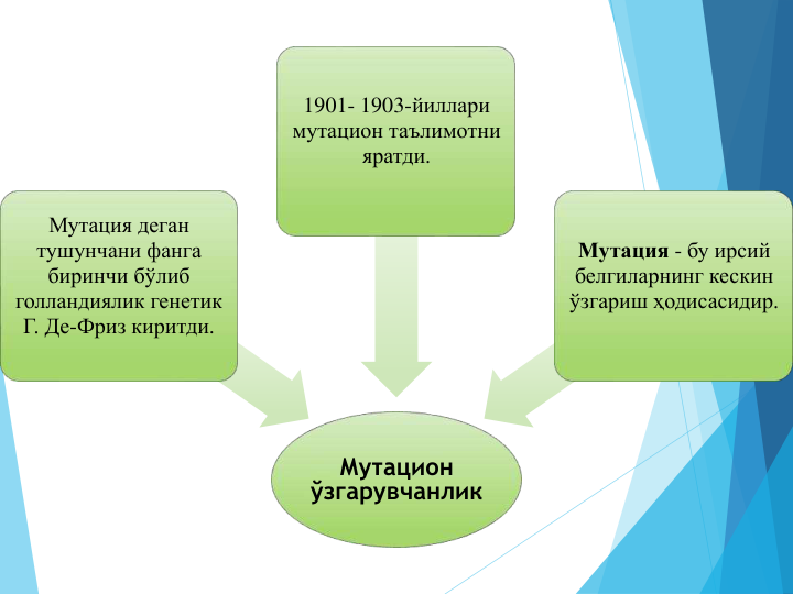 Мутацион
ўзгарувчанлик
Мутация деган 
тушунчани фанга 
биринчи бўлиб 
голландиялик генетик 
Г. Де-Фриз киритди.
1901- 1903-йиллари 
мутацион таълимотни 
яратди.
Мутация - бу ирсий 
белгиларнинг кескин 
ўзгариш ҳодисасидир.
