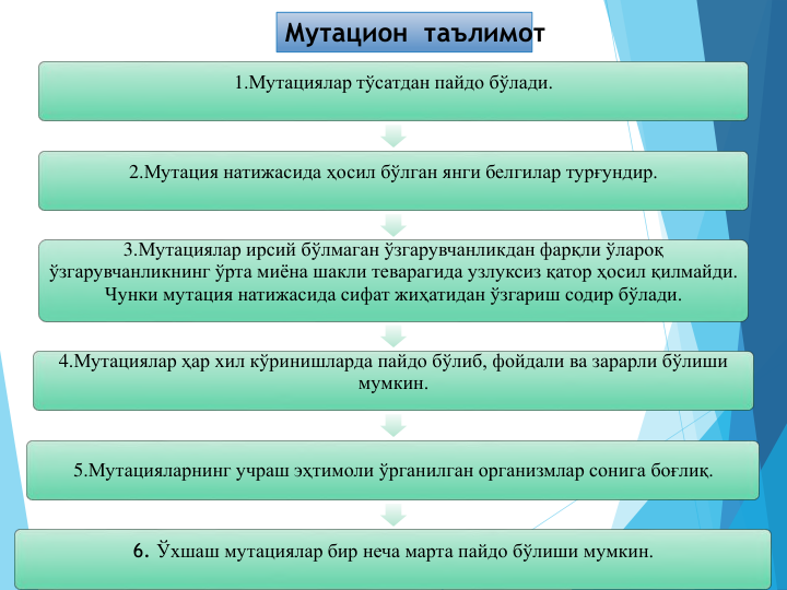 1.Мутациялар тўсатдан пайдо бўлади.
2.Мутация натижасида ҳосил бўлган янги белгилар турғундир.
3.Мутациялар ирсий бўлмаган ўзгарувчанликдан фарқли ўлароқ
ўзгарувчанликнинг ўрта миёна шакли теварагида узлуксиз қатор ҳосил қилмайди. 
Чунки мутация натижасида сифат жиҳатидан ўзгариш содир бўлади.
4.Мутациялар ҳар хил кўринишларда пайдо бўлиб, фойдали ва зарарли бўлиши 
мумкин.
5.Мутацияларнинг учраш эҳтимоли ўрганилган организмлар сонига боғлиқ.
6. Ўхшаш мутациялар бир неча марта пайдо бўлиши мумкин.
Мутацион таълимот
