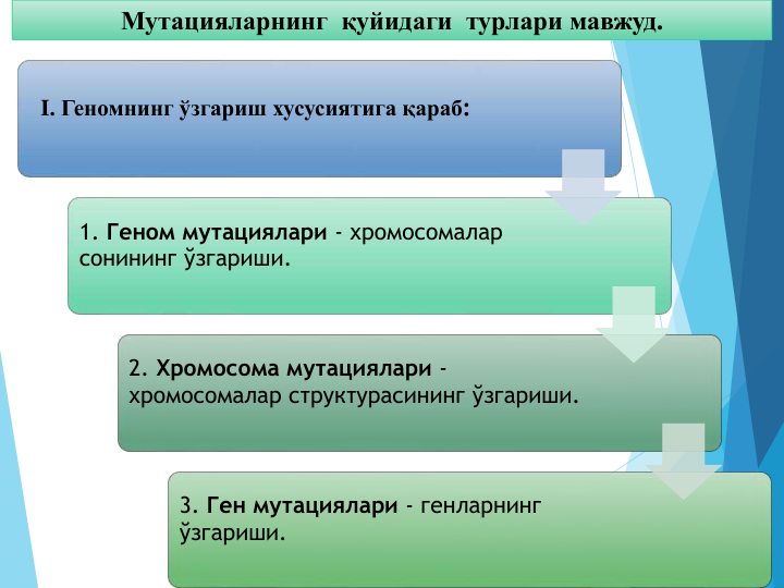 Мутацияларнинг қуйидаги  турлари мавжуд.
I. Геномнинг ўзгариш хусусиятига қараб:
1. Геном мутациялари - хромосомалар 
сонининг ўзгариши.
2. Хромосома мутациялари -
хромосомалар структурасининг ўзгариши.
3. Ген мутациялари - генларнинг 
ўзгариши.
