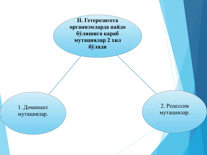 II. Гетерозигота 
организмларда пайдо 
бўлишига қараб
мутациялар 2 хил 
бўлади
2. Рецессив 
мутациялар.
1. Доминант 
мутациялар.
