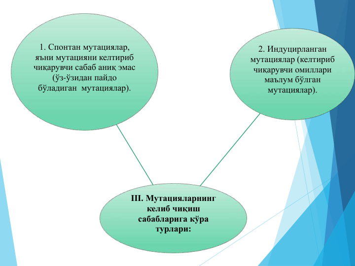 III. Мутацияларнинг 
келиб чиқиш 
сабабларига кўра
турлари:
1. Спонтан мутациялар, 
яъни мутацияни келтириб 
чиқарувчи сабаб аниқ эмас 
(ўз-ўзидан пайдо 
бўладиган мутациялар).
2. Индуцирланган 
мутациялар (келтириб 
чиқарувчи омиллари 
маълум бўлган 
мутациялар).
