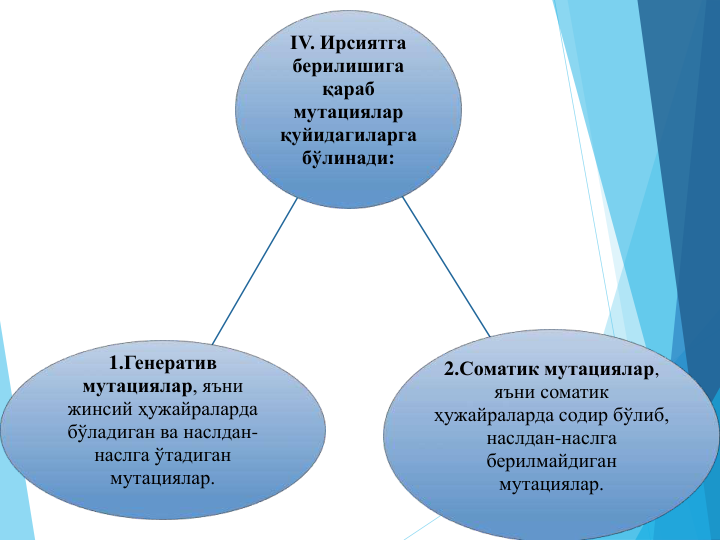 IV. Ирсиятга 
берилишига 
қараб
мутациялар 
қуйидагиларга 
бўлинади:
1.Генератив 
мутациялар, яъни 
жинсий ҳужайраларда 
бўладиган ва наслдан-
наслга ўтадиган 
мутациялар.
2.Соматик мутациялар, 
яъни соматик 
ҳужайраларда содир бўлиб, 
наслдан-наслга 
берилмайдиган 
мутациялар.
