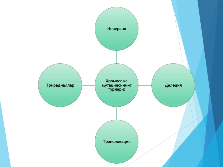Хромосома 
мутациясининг 
турлари:
Инверсия
Делеция
Транслокация 
Трирадиаллар
