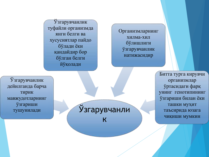 Ўзгарувчанли
к
Ўзгарувчанлик 
дейилганда барча 
тирик 
мавжудотларнинг 
ўзгариши 
тушунилади
Ўзгарувчанлик 
туфайли организмда
янги белги ва 
хусусиятлар пайдо 
бўлади ёки 
қандайдир бор 
бўлган белги 
йўқолади
Организмларнинг
хилма-хил
бўлишлиги
ўзгарувчанлик 
натижасидир
Битта турга кирувчи 
организмлар 
ўртасидаги фарқ
унинг генотипининг 
ўзгариши билан ёки 
ташки муҳит
таъсирида юзага 
чиқиши мумкин
