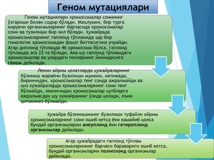Геном мутациялари
Геном мутациялари хромосомалар сонининг
ўзгариши билан содир бўлади. Маълумки, бир турга 
кирувчи организмларнинг барчасида хромосомалар 
сони ва тузилиши бир хил бўлади. Ҳужайрада 
хромосомаларнинг гаплоид тўпламида ҳар бир 
гомологик хромосомадан фақат биттасигина учрайди. 
Агар диплоид тўпламда 46 хромосома бўлса, гаплоид 
тўпламда эса 23 та бўлади. Ана шу гаплоид тўпламдаги 
хромосомалар ва улардаги генларнинг йиғиндисига 
геном дейилади. 
Лекин айрим ҳолатларда ҳужайраларнинг 
бўлиниш жараёни бузилиши мумкин, натижада, 
биринчидан, хромосомалар тенг сонда ажралмайди ва 
қиз хужайраларда хромосомаларнинг сони тенг 
бўлмайди, иккинчидан хромосомалар қутбларга 
ажралмасдан шу хужайранинг ўзида қолади, яъни 
цитокинез бўлмайди.
Ҳужайра бўлинишининг бузилиши туфайли айрим 
хромосомаларнинг сони ошиб кетса ёки камайиб қолса 
бундай организмларни анеуплоид ёки гетероплоид 
организмлар дейилади.
Агар ҳужайрадаги гаплоид тўплам 
хромосомаларининг барчаси баравариги ошиб кетса, 
бундай организмларни полиплоид организмлар 
дейилади.
