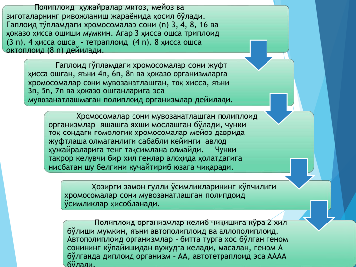Полиплоид  ҳужайралар митоз, мейоз ва 
зиготаларнинг ривожланиш жараёнида ҳосил бўлади. 
Гаплоид тўпламдаги хромосомалар сони (n) 3, 4, 8, 16 ва 
ҳоказо ҳисса ошиши мумкин. Агар 3 ҳисса ошса триплоид 
(3 n), 4 ҳисса ошса  - тетраплоид  (4 n), 8 ҳисса ошса 
октоплоид (8 n) дейилади.
Гаплоид тўпламдаги хромосомалар сони жуфт 
ҳисса ошган, яъни 4n, 6n, 8n ва ҳоказо организмларга 
хромосомалар сони мувозанатлашган, тоқ хисса, яъни 
3n, 5n, 7n ва ҳоказо ошганларига эса 
мувозанатлашмаган полиплоид организмлар дейилади.
Хромосомалар сони мувозанатлашган полиплоид 
организмлар  яшашга яхши мослашган бўлади, чунки 
тоқ сондаги гомологик хромосомалар мейоз даврида 
жуфтлаша олмаганлиги сабабли кейинги  авлод 
ҳужайраларига тенг тақсимлана олмайди.
Чунки 
такрор келувчи бир хил генлар алоҳида ҳолатдагига 
нисбатан шу белгини кучайтириб юзага чиқаради. 
Ҳозирги замон гулли ўсимликларининг кўпчилиги 
хромосомалар сони мувозанатлашган полипдоид 
ўсимликлар ҳисобланади.
Полиплоид организмлар келиб чиқишига кўра 2 хил 
бўлиши мумкин, яъни автополиплоид ва аллополиплоид. 
Автополиплоид организмлар – битта турга хос бўлган геном 
сонининг кўпайишидан вужудга келади, масалан, геном А 
бўлганда диплоид организм – АА, автотетраплоид эса АААА 
бўлади.
