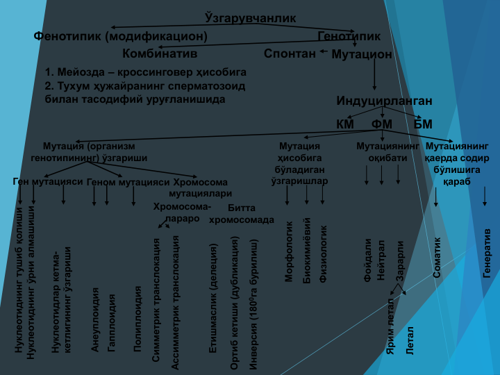 Ўзгарувчанлик
Фенотипик (модификацион)
Генотипик
Комбинатив
1. Мейозда – кроссинговер ҳисобига
2. Тухум ҳужайранинг сперматозоид 
билан тасодифий уруғланишида
Спонтан
Мутацион
Индуцирланган
КМ     ФМ      БМ
Мутация (организм 
генотипининг) ўзгариши
Мутация 
ҳисобига 
бўладиган 
ўзгаришлар
Мутациянинг 
оқибати
Мутациянинг 
қаерда содир 
бўлишига 
қараб
Ген мутацияси Геном мутацияси Хромосома 
мутациялари
Нуклеотиднинг тушиб қолиши
Нуклеотиднинг ўрни алмашиши
Нуклеотидлар кетма-
кетлигининг ўзгариши
Анеуплоидия
Гапплоидия
Полиплоидия
Симметрик транслокация
Ассимметрик транслокация
Хромосома-
лараро
Битта 
хромосомада
Етишмаслик (делеция)
Ортиб кетиши (дубликация)
Инверсия (1800га бурилиш)
Морфологик
Биокимиёвий
Физиологик
Фойдали
Нейтрал
Зарарли
Ярим летал
Летал
Соматик
Генератив
