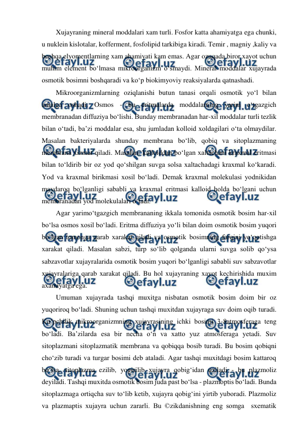  
 
Xujayraning mineral moddalari xam turli. Fosfor katta ahamiyatga ega chunki, 
u nuklein kislotalar, kofferment, fosfolipid tarkibiga kiradi. Temir , magniy ,kaliy va 
boshqa elyomentlarning xam ahamiyati kam emas. Agar ozuqada biror xayot uchun 
muhim element bo‘lmasa mikroorganizm o‘smaydi. Mineral moddalar xujayrada 
osmotik bosimni boshqaradi va ko‘p biokimyoviy reaksiyalarda qatnashadi. 
Mikroorganizmlarning oziqlanishi butun tanasi orqali osmotik yo‘l bilan 
amalga oshadi. Osmos - bu eritmalarda moddalarning yarim o‘tgazgich 
membranadan diffuziya bo‘lishi. Bunday membranadan har-xil moddalar turli tezlik 
bilan o‘tadi, ba’zi moddalar esa, shu jumladan kolloid xoldagilari o‘ta olmaydilar. 
Masalan bakteriyalarda shunday membrana bo‘lib, qobiq va sitoplazmaning 
membrana xizmat qiladi. Masalan: kalloiddan bo‘lgan xaltachani kraxmal eritmasi 
bilan to‘ldirib bir oz yod qo‘shilgan suvga solsa xaltachadagi kraxmal ko‘karadi. 
Yod va kraxmal birikmasi xosil bo‘ladi. Demak kraxmal molekulasi yodnikidan 
maydaroq bo‘lganligi sababli va kraxmal eritmasi kalloid holda bo‘lgani uchun 
membranadan yod molekulalari o‘tadi. 
Agar yarimo‘tgazgich membrananing ikkala tomonida osmotik bosim har-xil 
bo‘lsa osmos xosil bo‘ladi. Eritma diffuziya yo‘li bilan doim osmotik bosim yuqori 
bo‘lgan tomonga qarab xarakat qiladi va osmotik bosimning farqini yo‘qotishga 
xarakat qiladi. Masalan sabzi, turp so‘lib qolganda ularni suvga solib qo‘ysa 
sabzavotlar xujayralarida osmotik bosim yuqori bo‘lganligi sababli suv sabzavotlar 
xujayralariga qarab xarakat qiladi. Bu hol xujayraning xayot kechirishida muxim 
axamiyatga ega. 
Umuman xujayrada tashqi muxitga nisbatan osmotik bosim doim bir oz 
yuqoriroq bo‘ladi. Shuning uchun tashqi muxitdan xujayraga suv doim oqib turadi. 
Ko‘pchilik mikroorganizmning xujayrasining ichki bosimi 3-8atmosferaga teng 
bo‘ladi. Ba’zilarda esa bir necha o‘n va xatto yuz atmosferaga yetadi. Suv 
sitoplazmani sitoplazmatik membrana va qobiqqa bosib turadi. Bu bosim qobiqni 
cho‘zib turadi va turgar bosimi deb ataladi. Agar tashqi muxitdagi bosim kattaroq 
bo‘lsa, sitoplazma ezilib, yogirilib xujayra qobig‘idan uziladi - bu plazmoliz 
deyiladi. Tashqi muxitda osmotik bosim juda past bo‘lsa - plazmoptis bo‘ladi. Bunda 
sitoplazmaga ortiqcha suv to‘lib ketib, xujayra qobig‘ini yirtib yuboradi. Plazmoliz 
va plazmaptis xujayra uchun zararli. Bu ©zikdanishning eng somga  sxematik 
