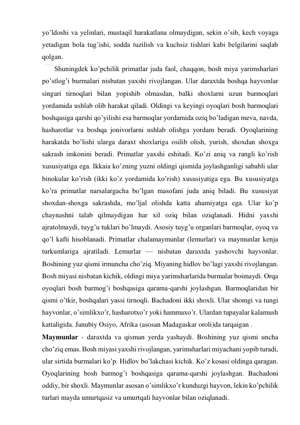  
 
yo’ldoshi va yelinlari, mustaqil harakatlana olmaydigan, sekin o’sib, kech voyaga 
yetadigan bola tug’ishi, sodda tuzilish va kuchsiz tishlari kabi belgilarini saqlab 
qolgan. 
       Shuningdek ko’pchilik primatlar juda faol, chaqqon, bosh miya yarimsharlari 
po’stlog’i burmalari nisbatan yaxshi rivojlangan. Ular daraxtda boshqa hayvonlar 
singari tirnoqlari bilan yopishib olmasdan, balki shoxlarni uzun barmoqlari 
yordamida ushlab olib harakat qiladi. Oldingi va keyingi oyoqlari bosh barmoqlari 
boshqasiga qarshi qo’yilishi esa barmoqlar yordamida oziq bo’ladigan meva, navda, 
hasharotlar va boshqa jonivorlarni ushlab olishga yordam beradi. Oyoqlarining 
harakatda bo’lishi ularga daraxt shoxlariga osilib olish, yurish, shoxdan shoxga 
sakrash imkonini beradi. Primatlar yaxshi eshitadi. Ko’zi aniq va rangli ko’rish 
xususiyatiga ega. Ikkaia ko’zning yuzni oldingi qismida joylashganligi sababli ular 
binokular ko’rish (ikki ko’z yordamida ko’rish) xususiyatiga ega. Bu xususiyatga 
ko’ra primatlar narsalargacha bo’lgan masofani juda aniq biladi. Bu xususiyat 
shoxdan-shoxga sakrashda, mo’ljal olishda katta ahamiyatga ega. Ular ko’p 
chaynashni talab qilmaydigan har xil oziq bilan oziqlanadi. Hidni yaxshi 
ajratolmaydi, tuyg’u tuklari bo’lmaydi. Asosiy tuyg’u organlari barmoqlar, oyoq va 
qo’l kafti hisoblanadi. Primatlar chalamaymunlar (lemurlar) va maymunlar kenja 
turkumlariga ajratiladi. Lemurlar — nisbatan daraxtda yashovchi hayvonlar. 
Boshining yuz qismi irmuncha cho’ziq. Miyaning hidlov bo’lagi yaxshi rivojlangan. 
Bosh miyasi nisbatan kichik, oldingi miya yarimsharlarida burmalar boimaydi. Orqa 
oyoqlari bosh barmog’i boshqasiga qarama-qarshi joylashgan. Barmoqlaridan bir 
qismi o’tkir, boshqalari yassi tirnoqli. Bachadoni ikki shoxli. Ular shomgi va tungi 
hayvonlar, o’simlikxo’r, hasharotxo’r yoki hammaxo’r. Ulardan tupayalar kalamush 
kattaligida. Janubiy Osiyo, Afrika (asosan Madagaskar oroli)da tarqaigan . 
Maymunlar - daraxtda va qisman yerda yashaydi. Boshining yuz qismi uncha 
cho’ziq emas. Bosh miyasi yaxshi rivojlangan, yarimsharlari miyachani yopib turadi, 
ular sirtida burmalari ko’p. Hidlov bo’lakchasi kichik. Ko’z kosasi oldinga qaragan. 
Oyoqlarining bosh barmog’i boshqasiga qarama-qarshi joylashgan. Bachadoni 
oddiy, bir shoxli. Maymunlar asosan o’simlikxo’r kunduzgi hayvon, lekin ko’pchilik 
turlari mayda umurtqasiz va umurtqali hayvonlar bilan oziqlanadi. 
