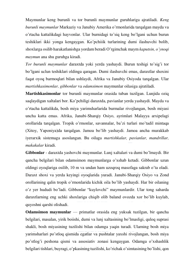  
 
Maymunlar keng burunli va tor burunli maymunlar guruhlariga ajratiladi. Keng 
burunli maymunlar Markaziy va Janubiy Amerika o’rmonlarida tarqalgan mayda va 
o’rtacha kattalikdagi hayvonlar. Ular burnidagi to’siq keng bo’lgani uchun burun 
teshiklari ikki yonga kengaygan. Ko’pchiiik turlarining dumi ilashuvchi bolib, 
shoxlarga osilib harakatlanishga yordam beradi O’rgimchak maym kaputsin, o’ynoqi 
maymun ana shu guruhga kiradi. 
Tor burunli maymunlar daraxtda yoki yerda yashaydi. Burun teshigi to’sig’i tor 
bo’lgani uclun teshiklari oldinga qaragan. Dumi ilashuvchi emas, daraxtlar shoxini 
faqat oyoq barmoqlari bilan ushlaydi, Afrika va Janubiy Osiyoda tarqalgan. Ular 
martishkasimonlar, gibbonlar va odamsimon maymunlar oilasiga ajratiladi. 
Martishkasimonlar tor burunli maymunlar orasida tuban tuzilgan. Lunjida oziq 
saqlaydigan xaltalari bor. Ko’pchiligi daraxtda, pavianlar yerda yashaydi. Mayda va 
o’rtacha kattalikda, bosh miya yarimsharlarida burmalar rivojlangan, bosh miyasi 
uncha katta emas. Afrika, Janubi-Sharqiy Osiyo, ayrimlari Malayya arxipelagi 
orollarida tarqalgan. Tropik o’rmonlar, savannalar, ba’zi turlari mo’tadil mintaqa 
(Xitoy, Yaponiya)da tarqalgan. Jamoa bo’lib yashaydi. Jamoa ancha murakkab 
iyerarxik sistemaga asoslangan. Bu oilaga martishkalar, pavianlar, mandrillar, 
makakalar kiradi. 
Gibbonlar - daraxtda yashovchi maymunlar. Lunj xaltalari va dumi bo’lmaydi. Bir 
qancha belgilari bilan odamsimon maymunlarga o’xshab ketadi. Gibbonlar uzun 
oldingi oyoqlariga osilib, 10 m va undan ham uzoqroq masofaga sakrab o’ta oladi. 
Daraxt shoxi va yerda keyingi oyoqlarida yuradi. Janubi-Sharqiy Osiyo va Zond 
orollarining qalin tropik o’rmonlarida kichik oila bo’lib yashaydi. Har bir oilaning 
o’z yer hududi bo’ladi. Gibbonlar “kuylovchi” maymunlardir. Ular tong saharda 
daraxtlarning eng uchki shoxlariga chiqib olib baland ovozda xor bo’lib kuylab, 
quyoshni qarshi olishadi. 
Odamsimon maymunlar — primatlar orasida eng yuksak tuzilgan, bir qancha 
belgilari, masalan, yirik boiishi, dumi va lunj xaltasining bo’lmasligi, quloq suprasi 
shakli, bosh miyasining tuzilishi bilan odamga yaqin turadi. Ularning bosh miya 
yarimsharlari po’stloq qismida egatlar va pushtalar yaxshi rivojlangan, bosh miya 
po’stlog’i peshona qismi va assosiativ zonasi kengaygan. Odamga o’xshashlik 
belgilari tishlari, buyragi, o’pkasining tuzilishi, ko’richak o’simtasining bo’lishi, qon 
