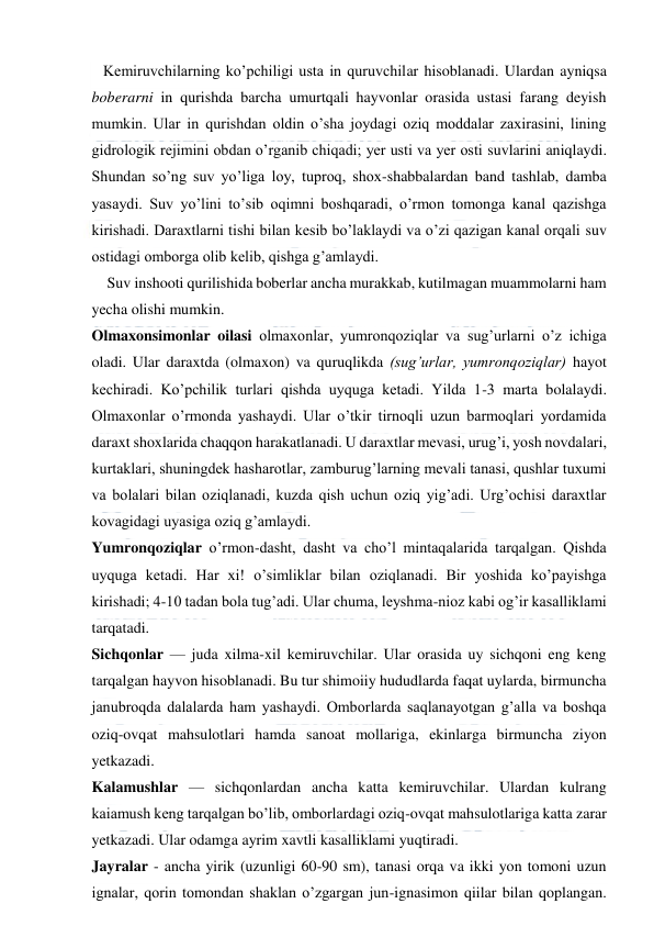  
 
   Kemiruvchilarning ko’pchiligi usta in quruvchilar hisoblanadi. Ulardan ayniqsa 
boberarni in qurishda barcha umurtqali hayvonlar orasida ustasi farang deyish 
mumkin. Ular in qurishdan oldin o’sha joydagi oziq moddalar zaxirasini, lining 
gidrologik rejimini obdan o’rganib chiqadi; yer usti va yer osti suvlarini aniqlaydi. 
Shundan so’ng suv yo’liga loy, tuproq, shox-shabbalardan band tashlab, damba 
yasaydi. Suv yo’lini to’sib oqimni boshqaradi, o’rmon tomonga kanal qazishga 
kirishadi. Daraxtlarni tishi bilan kesib bo’laklaydi va o’zi qazigan kanal orqali suv 
ostidagi omborga olib kelib, qishga g’amlaydi. 
    Suv inshooti qurilishida boberlar ancha murakkab, kutilmagan muammolarni ham 
yecha olishi mumkin. 
Olmaxonsimonlar oilasi olmaxonlar, yumronqoziqlar va sug’urlarni o’z ichiga 
oladi. Ular daraxtda (olmaxon) va quruqlikda (sug’urlar, yumronqoziqlar) hayot 
kechiradi. Ko’pchilik turlari qishda uyquga ketadi. Yilda 1-3 marta bolalaydi. 
Olmaxonlar o’rmonda yashaydi. Ular o’tkir tirnoqli uzun barmoqlari yordamida 
daraxt shoxlarida chaqqon harakatlanadi. U daraxtlar mevasi, urug’i, yosh novdalari, 
kurtaklari, shuningdek hasharotlar, zamburug’larning mevali tanasi, qushlar tuxumi 
va bolalari bilan oziqlanadi, kuzda qish uchun oziq yig’adi. Urg’ochisi daraxtlar 
kovagidagi uyasiga oziq g’amlaydi. 
Yumronqoziqlar o’rmon-dasht, dasht va cho’l mintaqalarida tarqalgan. Qishda 
uyquga ketadi. Har xi! o’simliklar bilan oziqlanadi. Bir yoshida ko’payishga 
kirishadi; 4-10 tadan bola tug’adi. Ular chuma, leyshma-nioz kabi og’ir kasalliklami 
tarqatadi. 
Sichqonlar — juda xilma-xil kemiruvchilar. Ular orasida uy sichqoni eng keng 
tarqalgan hayvon hisoblanadi. Bu tur shimoiiy hududlarda faqat uylarda, birmuncha 
janubroqda dalalarda ham yashaydi. Omborlarda saqlanayotgan g’alla va boshqa 
oziq-ovqat mahsulotlari hamda sanoat mollariga, ekinlarga birmuncha ziyon 
yetkazadi. 
Kalamushlar — sichqonlardan ancha katta kemiruvchilar. Ulardan kulrang 
kaiamush keng tarqalgan bo’lib, omborlardagi oziq-ovqat mahsulotlariga katta zarar 
yetkazadi. Ular odamga ayrim xavtli kasalliklami yuqtiradi. 
Jayralar - ancha yirik (uzunligi 60-90 sm), tanasi orqa va ikki yon tomoni uzun 
ignalar, qorin tomondan shaklan o’zgargan jun-ignasimon qiilar bilan qoplangan. 
