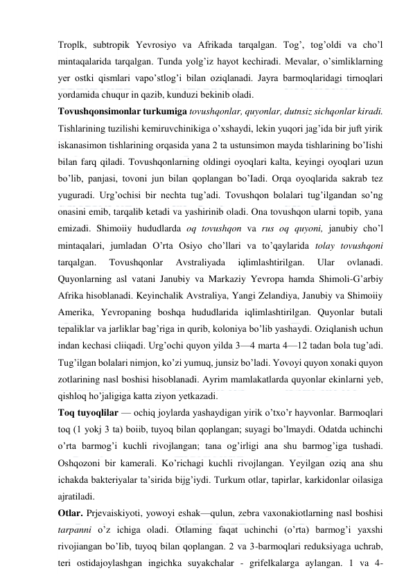  
 
Troplk, subtropik Yevrosiyo va Afrikada tarqalgan. Tog’, tog’oldi va cho’l 
mintaqalarida tarqalgan. Tunda yolg’iz hayot kechiradi. Mevalar, o’simliklarning 
yer ostki qismlari vapo’stlog’i bilan oziqlanadi. Jayra barmoqlaridagi tirnoqlari 
yordamida chuqur in qazib, kunduzi bekinib oladi. 
Tovushqonsimonlar turkumiga tovushqonlar, quyonlar, dutnsiz sichqonlar kiradi. 
Tishlarining tuzilishi kemiruvchinikiga o’xshaydi, lekin yuqori jag’ida bir juft yirik 
iskanasimon tishlarining orqasida yana 2 ta ustunsimon mayda tishlarining bo’Iishi 
bilan farq qiladi. Tovushqonlarning oldingi oyoqlari kalta, keyingi oyoqlari uzun 
bo’lib, panjasi, tovoni jun bilan qoplangan bo’Iadi. Orqa oyoqlarida sakrab tez 
yuguradi. Urg’ochisi bir nechta tug’adi. Tovushqon bolalari tug’ilgandan so’ng 
onasini emib, tarqalib ketadi va yashirinib oladi. Ona tovushqon ularni topib, yana 
emizadi. Shimoiiy hududlarda oq tovushqon va rus oq quyoni, janubiy cho’l 
mintaqalari, jumladan O’rta Osiyo cho’llari va to’qaylarida tolay tovushqoni 
tarqalgan. 
Tovushqonlar 
Avstraliyada 
iqlimlashtirilgan. 
Ular 
ovlanadi. 
Quyonlarning asl vatani Janubiy va Markaziy Yevropa hamda Shimoli-G’arbiy 
Afrika hisoblanadi. Keyinchalik Avstraliya, Yangi Zelandiya, Janubiy va Shimoiiy 
Amerika, Yevropaning boshqa hududlarida iqlimlashtirilgan. Quyonlar butali 
tepaliklar va jarliklar bag’riga in qurib, koloniya bo’lib yashaydi. Oziqlanish uchun 
indan kechasi cliiqadi. Urg’ochi quyon yilda 3—4 marta 4—12 tadan bola tug’adi. 
Tug’ilgan bolalari nimjon, ko’zi yumuq, junsiz bo’ladi. Yovoyi quyon xonaki quyon 
zotlarining nasl boshisi hisoblanadi. Ayrim mamlakatlarda quyonlar ekinlarni yeb, 
qishloq ho’jaligiga katta ziyon yetkazadi. 
Toq tuyoqlilar — ochiq joylarda yashaydigan yirik o’txo’r hayvonlar. Barmoqlari 
toq (1 yokj 3 ta) boiib, tuyoq bilan qoplangan; suyagi bo’lmaydi. Odatda uchinchi 
o’rta barmog’i kuchli rivojlangan; tana og’irligi ana shu barmog’iga tushadi. 
Oshqozoni bir kamerali. Ko’richagi kuchli rivojlangan. Yeyilgan oziq ana shu 
ichakda bakteriyalar ta’sirida bijg’iydi. Turkum otlar, tapirlar, karkidonlar oilasiga 
ajratiladi. 
Otlar. Prjevaiskiyoti, yowoyi eshak—qulun, zebra vaxonakiotlarning nasl boshisi 
tarpanni o’z ichiga oladi. Otlaming faqat uchinchi (o’rta) barmog’i yaxshi 
rivojiangan bo’Iib, tuyoq bilan qoplangan. 2 va 3-barmoqlari reduksiyaga uchrab, 
teri ostidajoylashgan ingichka suyakchalar - grifelkalarga aylangan. 1 va 4-
