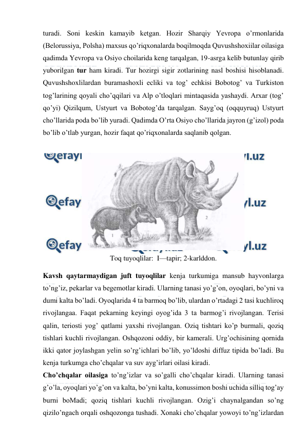  
 
turadi. Soni keskin kamayib ketgan. Hozir Sharqiy Yevropa o’rmonlarida 
(Belorussiya, Polsha) maxsus qo’riqxonalarda boqilmoqda Quvushshoxiilar oilasiga 
qadimda Yevropa va Osiyo choilarida keng tarqalgan, 19-asrga kelib butunlay qirib 
yuborilgan tur ham kiradi. Tur hozirgi sigir zotlarining nasl boshisi hisoblanadi. 
Quvushshoxlilardan buramashoxli ecliki va tog’ echkisi Bobotog’ va Turkiston 
tog’larining qoyali cho’qqilari va Alp o’tloqlari mintaqasida yashaydi. Arxar (tog’ 
qo’yi) Qizilqum, Ustyurt va Bobotog’da tarqalgan. Sayg’oq (oqquyruq) Ustyurt 
cho’llarida poda bo’lib yuradi. Qadimda O’rta Osiyo cho’llarida jayron (g’izol) poda 
bo’lib o’tlab yurgan, hozir faqat qo’riqxonalarda saqlanib qolgan. 
 
 
Toq tuyoqlilar:  I—tapir; 2-karlddon. 
Kavsh qaytarmaydigan juft tuyoqlilar kenja turkumiga mansub hayvonlarga 
to’ng’iz, pekarlar va begemotlar kiradi. Ularning tanasi yo’g’on, oyoqlari, bo’yni va 
dumi kalta bo’ladi. Oyoqlarida 4 ta barmoq bo’lib, ulardan o’rtadagi 2 tasi kuchliroq 
rivojlangaa. Faqat pekarning keyingi oyog’ida 3 ta barmog’i rivojlangan. Terisi 
qalin, teriosti yog’ qatlami yaxshi rivojlangan. Oziq tishtari ko’p burmali, qoziq 
tishlari kuchli rivojlangan. Oshqozoni oddiy, bir kamerali. Urg’ochisining qornida 
ikki qator joylashgan yelin so’rg’ichlari bo’lib, yo’ldoshi diffuz tipida bo’ladi. Bu 
kenja turkumga cho’chqalar va suv ayg’irlari oilasi kiradi. 
Cho’chqalar oilasiga to’ng’izlar va so’galli cho’chqalar kiradi. Ularning tanasi 
g’o’la, oyoqlari yo’g’on va kalta, bo’yni kalta, konussimon boshi uchida silliq tog’ay 
burni boMadi; qoziq tishlari kuchli rivojlangan. Ozig’i chaynalgandan so’ng 
qizilo’ngach orqali oshqozonga tushadi. Xonaki cho’chqalar yowoyi to’ng’izlardan 
