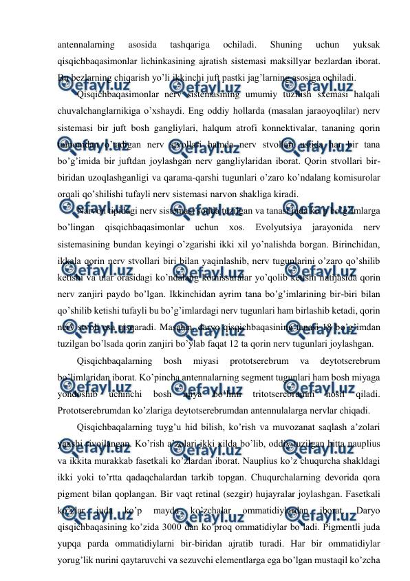  
 
antennalarning 
asosida 
tashqariga 
ochiladi. 
Shuning 
uchun 
yuksak 
qisqichbaqasimonlar lichinkasining ajratish sistemasi maksillyar bezlardan iborat. 
Bu bezlarning chiqarish yo’li ikkinchi juft pastki jag’larning asosiga ochiladi. 
Qisqichbaqasimonlar nerv sistemasining umumiy tuzilish sxemasi halqali 
chuvalchanglarnikiga o’xshaydi. Eng oddiy hollarda (masalan jaraoyoqlilar) nerv 
sistemasi bir juft bosh gangliylari, halqum atrofi konnektivalar, tananing qorin 
tomonidan o’tadigan nerv stvollari hamda nerv stvollari ustida har bir tana 
bo’g’imida bir juftdan joylashgan nerv gangliylaridan iborat. Qorin stvollari bir-
biridan uzoqlashganligi va qarama-qarshi tugunlari o’zaro ko’ndalang komisurolar 
orqali qo’shilishi tufayli nerv sistemasi narvon shakliga kiradi. 
Narvon tipidagi nerv sistemasi sodda tuzilgan va tanasi juda ko’p bo’g’imlarga 
bo’lingan 
qisqichbaqasimonlar 
uchun 
xos. 
Evolyutsiya 
jarayonida 
nerv 
sistemasining bundan keyingi o’zgarishi ikki xil yo’nalishda borgan. Birinchidan, 
ikkala qorin nerv stvollari biri bilan yaqinlashib, nerv tugunlarini o’zaro qo’shilib 
ketishi va ular orasidagi ko’ndalang komissuralar yo’qolib ketishi natijasida qorin 
nerv zanjiri paydo bo’lgan. Ikkinchidan ayrim tana bo’g’imlarining bir-biri bilan 
qo’shilib ketishi tufayli bu bo’g’imlardagi nerv tugunlari ham birlashib ketadi, qorin 
nerv stvoli esa qisqaradi. Masalan, daryo qisqichbaqasining tanasi 18 bo’g’imdan 
tuzilgan bo’lsada qorin zanjiri bo’ylab faqat 12 ta qorin nerv tugunlari joylashgan. 
Qisqichbaqalarning 
bosh 
miyasi 
prototserebrum 
va 
deytotserebrum 
bo’limlaridan iborat. Ko’pincha antennalarning segment tugunlari ham bosh miyaga 
yondoshib 
uchinchi 
bosh 
miya 
bo’limi 
tritotserebrumni 
hosil 
qiladi. 
Prototserebrumdan ko’zlariga deytotserebrumdan antennulalarga nervlar chiqadi. 
Qisqichbaqalarning tuyg’u hid bilish, ko’rish va muvozanat saqlash a’zolari 
yaxshi rivojlangan. Ko’rish a’zolari ikki xilda bo’lib, oddiy tuzilgan bitta nauplius 
va ikkita murakkab fasetkali ko’zlardan iborat. Nauplius ko’z chuqurcha shakldagi 
ikki yoki to’rtta qadaqchalardan tarkib topgan. Chuqurchalarning devorida qora 
pigment bilan qoplangan. Bir vaqt retinal (sezgir) hujayralar joylashgan. Fasetkali 
ko’zlar 
juda 
ko’p 
mayda 
ko’zchalar 
ommatidiylardan 
iborat. 
Daryo 
qisqichbaqasining ko’zida 3000 dan ko’proq ommatidiylar bo’ladi. Pigmentli juda 
yupqa parda ommatidiylarni bir-biridan ajratib turadi. Har bir ommatidiylar 
yorug’lik nurini qaytaruvchi va sezuvchi elementlarga ega bo’lgan mustaqil ko’zcha 
