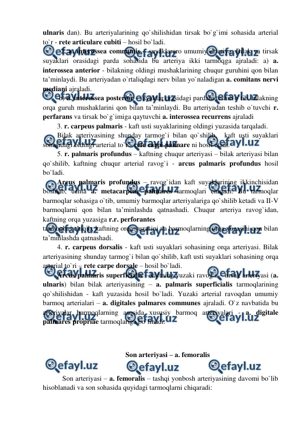  
 
ulnaris dan). Bu arteriyalarining qo`shilishidan tirsak bo`g`imi sohasida arterial 
to`r - rete articulare cubiti – hosil bo`ladi.  
2. a. interossea communis – suyaklararo umumiy arteriya. Bilak va tirsak 
suyaklari orasidagi parda sohasida bu arteriya ikki tarmoqga ajraladi: a) a. 
interossea anterior - bilakning oldingi mushaklarining chuqur guruhini qon bilan 
ta’minlaydi. Bu arteriyadan o`rtaliqdagi nerv bilan yo`naladigan a. comitans nervi 
mediani ajraladi.  
 b) a. interossea posterior - suyaklar orasidagi pardani teshib o`tib, bilakning 
orqa guruh mushaklarini qon bilan ta’minlaydi. Bu arteriyadan teshib o`tuvchi r. 
perfarans va tirsak bo`g`imiga qaytuvchi a. interossea recurrens ajraladi 
3. r. carpeus palmaris - kaft usti suyaklarining oldingi yuzasida tarqaladi.  
Bilak arteriyasining shunday tarmog`i bilan qo`shilib,  kaft usti suyaklari 
sohasidagi oldingi arterial to`r - rete carpi palmare ni hosil etadi.  
5. r. palmaris profundus – kaftning chuqur arteriyasi – bilak arteriyasi bilan 
qo`shilib, kaftning chuqur arterial ravog`i - arcus palmaris profundus hosil 
bo`ladi.  
Arcus palmaris profundus – ravog`idan kaft suyaklarining ikkinchisidan 
boshlab, uchta a. metacarpeae palmares tarmoqlari chiqadi. Bu tarmoqlar 
barmoqlar sohasiga o`tib, umumiy barmoqlar arteriyalariga qo`shilib ketadi va II-V 
barmoqlarni qon bilan ta’minlashda qatnashadi. Chuqur arteriya ravog`idan, 
kaftning orqa yuzasiga r.r. perforantes 
tarmoqlari chiqib, kaftning orqa yuzasini va barmoqlarning orqa yuzasini qon bilan 
ta’minlashda qatnashadi. 
4. r. carpeus dorsalis - kaft usti suyaklari sohasining orqa arteriyasi. Bilak 
arteriyasining shunday tarmog`i bilan qo`shilib, kaft usti suyaklari sohasining orqa 
arterial to`ri – rete carpe dorsale – hosil bo`ladi. 
Arcus palmaris superficialis – kaftning yuzaki ravog`i – tirsak arteriyasi (a. 
ulnaris) bilan bilak arteriyasining – a. palmaris superficialis tarmoqlarining 
qo`shilishidan - kaft yuzasida hosil bo`ladi. Yuzaki arterial ravoqdan umumiy 
barmoq arterialari – a. digitales palmares communes ajraladi. O`z navbatida bu 
arteriyalar barmoqlarning asosida xususiy barmoq arteriyalari - a. digitale 
palmares propriae tarmoqlariga bo`linadi.  
 
 
Son arteriyasi – a. femoralis 
 
   Son arteriyasi – a. femoralis – tashqi yonbosh arteriyasining davomi bo`lib 
hisoblanadi va son sohasida quyidagi tarmoqlarni chiqaradi:  
