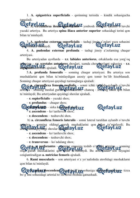  
 
1. A. epigastrica superficialis - qorinning terisida – kindik sohasigacha 
tarqaladi.  
2. A. circumflexa ileum superficialis – yonbosh sohasini aylanib o`tuvchi 
yuzaki arteriya.  Bu arteriya spina iliaca anterior superior sohasidagi terini qon 
bilan ta’minlaydi.  
3. A. pudendae externae superficialis – tashqi jinsiy a’zolari yuza sohasini 
qon bilan ta’minlaydi.  
4. A. pudendae externae profunda – tashqi jinsiy a’zolarning chuqur 
arteriyasi. 
Bu arteriyadan ayollarda – r.r. labiales anteriores, erkaklarda esa yorg`oq 
sohasiga – r.r. scrotales anteriores shoxlari, xamda chov boylami sohasiga – r.r. 
inguinales shoxlari ajraladi.     
5.A. profunda femoralis – sonning chuqur arteriyasi. Bu arteriya son 
mushaklarini qon bilan ta’minlaydigan asosiy qon tomir bo`lib hisoblanadi. 
Sonning chuqur arteriyasi quyidagi tarmoqlarga ajraladi:  
a) a. circumflexa femoris medialis – sonni ichki tarafida aylanib o`tuvchi 
arteriya - sonning medial guruh mushaklarini,  chanoq - son bug`imini qon bilan 
ta’minlaydi; Bu arteriyadan quyidagi shoxlar ajraladi. 
– r. supierficialis – yuzaki shox;  
– r. profundus – chuqur shox; 
     – r. acetabularis – sirka kosachasi shoxi; 
– r. ascendens – ko`tariluvchi shox; 
– r. descendens – tushuvchi shox. 
 b) a. circumflexa femoris lateralis - sonni lateral tarafdan aylanib o`tuvchi 
arteriya – sonning oldingi guruh mushaklarini qon bilan ta’minlaydi; Bu 
arteriyadan quyidagi shoxlar ajraladi: 
– r. ascendens – ko`tariluvchi shox; 
– r. descendens – tushuvchi shox;  
– r. transversus – ko`ndalang shox;  
 v) a. a. perforantes – sonning orqasiga teshib o`tuvchi arteriya – sonning 
orqa guruh mushaklarini qon bilan ta’minlaydi. Bu arteriyadan son suyagini 
oziqlantiradigan a. nutriciae femoris ajraladi. 
6. Rami muscularis – son arteriyasi o`z yo`nalishida atrofidagi mushaklarni 
qon bilan ta’minlaydi.  
7. A. genus descendens – tizza bo`g`imi sohasiga tushuvchi arteriya – tizza 
bo`g`imi sohasidagi arterial to`rni hosil etishda qatnashadi.  
