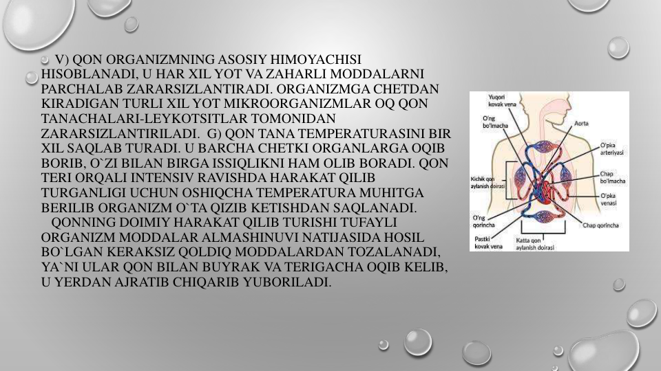 V) QON ORGANIZMNING ASOSIY HIMOYACHISI
HISOBLANADI, U HAR XIL YOT VA ZAHARLI MODDALARNI
PARCHALAB ZARARSIZLANTIRADI. ORGANIZMGA CHETDAN
KIRADIGAN TURLI XIL YOT MIKROORGANIZMLAR OQ QON
TANACHALARI-LEYKOTSITLAR TOMONIDAN
ZARARSIZLANTIRILADI. G) QON TANA TEMPERATURASINI BIR
XIL SAQLAB TURADI. U BARCHA CHETKI ORGANLARGA OQIB
BORIB, O`ZI BILAN BIRGA ISSIQLIKNI HAM OLIB BORADI. QON
TERI ORQALI INTENSIV RAVISHDA HARAKAT QILIB
TURGANLIGI UCHUN OSHIQCHA TEMPERATURA MUHITGA
BERILIB ORGANIZM O`TA QIZIB KETISHDAN SAQLANADI.
QONNING DOIMIY HARAKAT QILIB TURISHI TUFAYLI
ORGANIZM MODDALAR ALMASHINUVI NATIJASIDA HOSIL
BO`LGAN KERAKSIZ QOLDIQ MODDALARDAN TOZALANADI, 
YA`NI ULAR QON BILAN BUYRAK VA TERIGACHA OQIB KELIB, 
U YERDAN AJRATIB CHIQARIB YUBORILADI.
