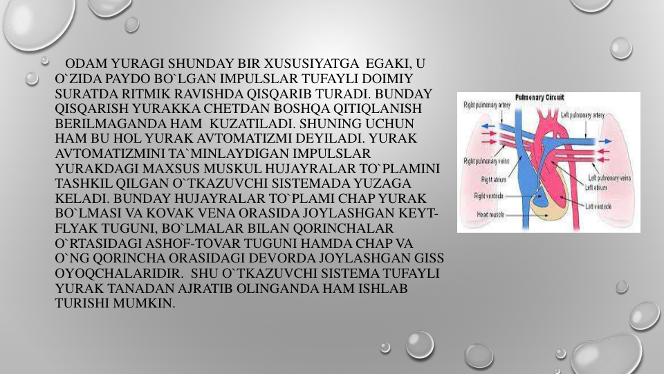 ODAM YURAGI SHUNDAY BIR XUSUSIYATGA EGAKI, U 
O`ZIDA PAYDO BO`LGAN IMPULSLAR TUFAYLI DOIMIY
SURATDA RITMIK RAVISHDA QISQARIB TURADI. BUNDAY
QISQARISH YURAKKA CHETDAN BOSHQA QITIQLANISH
BERILMAGANDA HAM KUZATILADI. SHUNING UCHUN
HAM BU HOL YURAK AVTOMATIZMI DEYILADI. YURAK
AVTOMATIZMINI TA`MINLAYDIGAN IMPULSLAR
YURAKDAGI MAXSUS MUSKUL HUJAYRALAR TO`PLAMINI
TASHKIL QILGAN O`TKAZUVCHI SISTEMADA YUZAGA
KELADI. BUNDAY HUJAYRALAR TO`PLAMI CHAP YURAK
BO`LMASI VA KOVAK VENA ORASIDA JOYLASHGAN KEYT-
FLYAK TUGUNI, BO`LMALAR BILAN QORINCHALAR
O`RTASIDAGI ASHOF-TOVAR TUGUNI HAMDA CHAP VA
O`NG QORINCHA ORASIDAGI DEVORDA JOYLASHGAN GISS 
OYOQCHALARIDIR. SHU O`TKAZUVCHI SISTEMA TUFAYLI
YURAK TANADAN AJRATIB OLINGANDA HAM ISHLAB
TURISHI MUMKIN.
