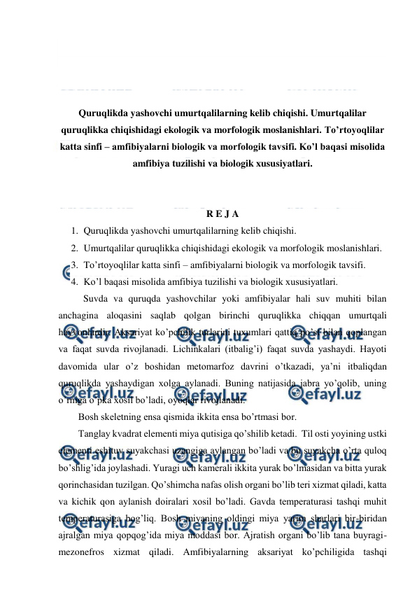  
 
 
 
 
 
Quruqlikda yashovchi umurtqalilarning kelib chiqishi. Umurtqalilar 
quruqlikka chiqishidagi ekologik va morfologik moslanishlari. To’rtoyoqlilar 
katta sinfi – amfibiyalarni biologik va morfologik tavsifi. Ko’l baqasi misolida 
amfibiya tuzilishi va biologik xususiyatlari. 
 
 
R E J A 
1. Quruqlikda yashovchi umurtqalilarning kelib chiqishi. 
2. Umurtqalilar quruqlikka chiqishidagi ekologik va morfologik moslanishlari. 
3. To’rtoyoqlilar katta sinfi – amfibiyalarni biologik va morfologik tavsifi. 
4. Ko’l baqasi misolida amfibiya tuzilishi va biologik xususiyatlari. 
 Suvda va quruqda yashovchilar yoki amfibiyalar hali suv muhiti bilan 
anchagina aloqasini saqlab qolgan birinchi quruqlikka chiqqan umurtqali 
hayvonlardir. Aksariyat ko’pchilik turlarini tuxumlari qattiq po’st bilan qoplangan 
va faqat suvda rivojlanadi. Lichinkalari (itbalig’i) faqat suvda yashaydi. Hayoti 
davomida ular o’z boshidan metomarfoz davrini o’tkazadi, ya’ni itbaliqdan 
quruqlikda yashaydigan xolga aylanadi. Buning natijasida jabra yo’qolib, uning 
o’rniga o’pka xosil bo’ladi, oyoqlar rivojlanadi.  
Bosh skeletning ensa qismida ikkita ensa bo’rtmasi bor.  
Tanglay kvadrat elementi miya qutisiga qo’shilib ketadi.  Til osti yoyining ustki 
elementi eshituv suyakchasi uzangiga aylangan bo’ladi va bu suyakcha o’rta quloq 
bo’shlig’ida joylashadi. Yuragi uch kamerali ikkita yurak bo’lmasidan va bitta yurak 
qorinchasidan tuzilgan. Qo’shimcha nafas olish organi bo’lib teri xizmat qiladi, katta 
va kichik qon aylanish doiralari xosil bo’ladi. Gavda temperaturasi tashqi muhit 
temperaturasiga bog’liq. Bosh miyaning oldingi miya yarim sharlari bir-biridan 
ajralgan miya qopqog’ida miya moddasi bor. Ajratish organi bo’lib tana buyragi-
mezonefros xizmat qiladi. Amfibiyalarning aksariyat ko’pchiligida tashqi 
