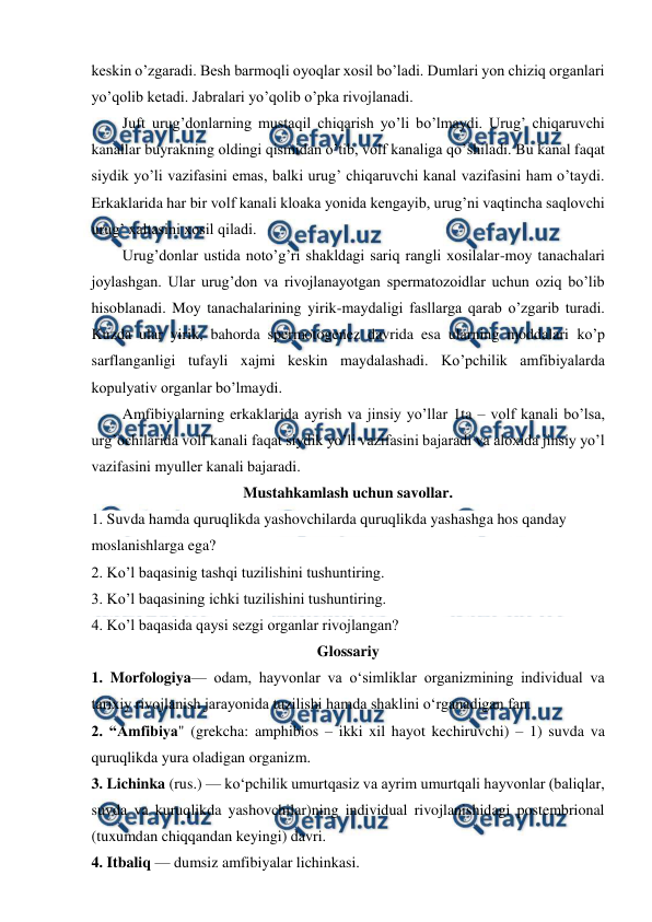  
 
keskin o’zgaradi. Besh barmoqli oyoqlar xosil bo’ladi. Dumlari yon chiziq organlari 
yo’qolib ketadi. Jabralari yo’qolib o’pka rivojlanadi.  
Juft urug’donlarning mustaqil chiqarish yo’li bo’lmaydi. Urug’ chiqaruvchi 
kanallar buyrakning oldingi qismidan o’tib, volf kanaliga qo’shiladi. Bu kanal faqat 
siydik yo’li vazifasini emas, balki urug’ chiqaruvchi kanal vazifasini ham o’taydi. 
Erkaklarida har bir volf kanali kloaka yonida kengayib, urug’ni vaqtincha saqlovchi 
urug’ xaltasini xosil qiladi.  
Urug’donlar ustida noto’g’ri shakldagi sariq rangli xosilalar-moy tanachalari 
joylashgan. Ular urug’don va rivojlanayotgan spermatozoidlar uchun oziq bo’lib 
hisoblanadi. Moy tanachalarining yirik-maydaligi fasllarga qarab o’zgarib turadi. 
Kuzda ular yirik, bahorda spermotogenez davrida esa ularning moddalari ko’p 
sarflanganligi tufayli xajmi keskin maydalashadi. Ko’pchilik amfibiyalarda 
kopulyativ organlar bo’lmaydi.  
Amfibiyalarning erkaklarida ayrish va jinsiy yo’llar 1ta – volf kanali bo’lsa, 
urg’ochilarida volf kanali faqat siydik yo’li vazifasini bajaradi va aloxida jinsiy yo’l 
vazifasini myuller kanali bajaradi.  
Mustahkamlash uchun savollar. 
1. Suvda hamda quruqlikda yashovchilarda quruqlikda yashashga hos qanday 
moslanishlarga ega? 
2. Ko’l baqasinig tashqi tuzilishini tushuntiring. 
3. Ko’l baqasining ichki tuzilishini tushuntiring. 
4. Ko’l baqasida qaysi sezgi organlar rivojlangan?  
Glossariy 
1. Morfologiya— odam, hayvonlar va oʻsimliklar organizmining individual va 
tarixiy rivojlanish jarayonida tuzilishi hamda shaklini oʻrganadigan fan. 
2. “Amfibiya" (grekcha: amphibios – ikki xil hayot kechiruvchi) – 1) suvda va 
quruqlikda yura oladigan organizm. 
3. Lichinka (rus.) — koʻpchilik umurtqasiz va ayrim umurtqali hayvonlar (baliqlar, 
suvda va kuruqlikda yashovchilar)ning individual rivojlanishidagi postembrional 
(tuxumdan chiqqandan keyingi) davri.  
4. Itbaliq — dumsiz amfibiyalar lichinkasi.  
