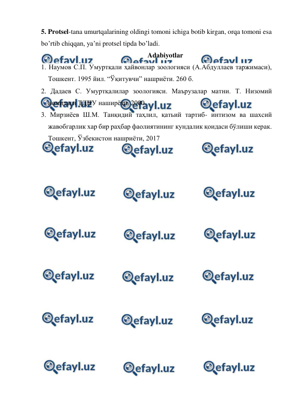 
 
5. Protsel-tana umurtqalarining oldingi tomoni ichiga botib kirgan, orqa tomoni esa 
bo’rtib chiqqan, ya’ni protsel tipda bo’ladi. 
Adabiyotlar 
1. Наумов С.П. Умуртқали ҳайвонлар зоологияси (А.Абдуллаев таржимаси), 
Тошкент. 1995 йил. “Ўқитувчи” нашриёти. 260 б. 
2. Дадаев С. Умуртқалилар зоологияси. Маърузалар матни. Т. Низомий 
номидаги ТДПУ наширёти. 2000. 
3. Мирзиёев Ш.М. Танқидий таҳлил, қатьий тартиб- интизом ва шахсий 
жавобгарлик хар бир раҳбар фаолиятининг кундалик қоидаси бўлиши керак. 
Тошкент, Ўзбекистон нашриёти, 2017 
 
