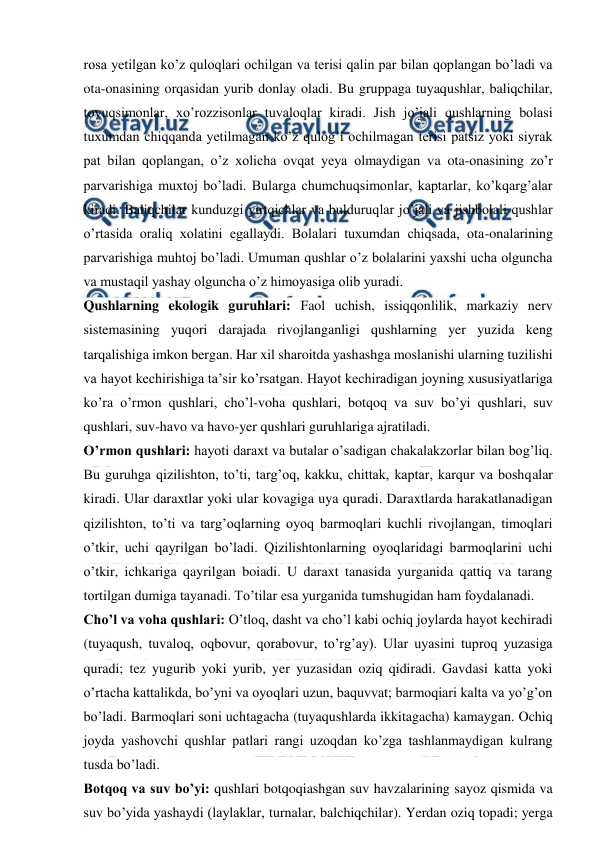  
 
rosa yetilgan ko’z quloqlari ochilgan va terisi qalin par bilan qoplangan bo’ladi va 
ota-onasining orqasidan yurib donlay oladi. Bu gruppaga tuyaqushlar, baliqchilar, 
tovuqsimonlar, xo’rozzisonlar tuvaloqlar kiradi. Jish jo’jali qushlarning bolasi 
tuxumdan chiqqanda yetilmagan ko’z qulog’i ochilmagan terisi patsiz yoki siyrak 
pat bilan qoplangan, o’z xolicha ovqat yeya olmaydigan va ota-onasining zo’r 
parvarishiga muxtoj bo’ladi. Bularga chumchuqsimonlar, kaptarlar, ko’kqarg’alar 
kiradi. Baliqchilar kunduzgi yirtqichlar va bulduruqlar jo’jali va jishbolali qushlar 
o’rtasida oraliq xolatini egallaydi. Bolalari tuxumdan chiqsada, ota-onalarining 
parvarishiga muhtoj bo’ladi. Umuman qushlar o’z bolalarini yaxshi ucha olguncha 
va mustaqil yashay olguncha o’z himoyasiga olib yuradi. 
Qushlarning ekologik guruhlari: Faol uchish, issiqqonlilik, markaziy nerv 
sistemasining yuqori darajada rivojlanganligi qushlarning yer yuzida keng 
tarqalishiga imkon bergan. Har xil sharoitda yashashga moslanishi ularning tuzilishi 
va hayot kechirishiga ta’sir ko’rsatgan. Hayot kechiradigan joyning xususiyatlariga 
ko’ra o’rmon qushlari, cho’l-voha qushlari, botqoq va suv bo’yi qushlari, suv 
qushlari, suv-havo va havo-yer qushlari guruhlariga ajratiladi. 
O’rmon qushlari: hayoti daraxt va butalar o’sadigan chakalakzorlar bilan bog’liq. 
Bu guruhga qizilishton, to’ti, targ’oq, kakku, chittak, kaptar, karqur va boshqalar 
kiradi. Ular daraxtlar yoki ular kovagiga uya quradi. Daraxtlarda harakatlanadigan 
qizilishton, to’ti va targ’oqlarning oyoq barmoqlari kuchli rivojlangan, timoqlari 
o’tkir, uchi qayrilgan bo’ladi. Qizilishtonlarning oyoqlaridagi barmoqlarini uchi 
o’tkir, ichkariga qayrilgan boiadi. U daraxt tanasida yurganida qattiq va tarang 
tortilgan dumiga tayanadi. To’tilar esa yurganida tumshugidan ham foydalanadi. 
Cho’l va voha qushlari: O’tloq, dasht va cho’l kabi ochiq joylarda hayot kechiradi 
(tuyaqush, tuvaloq, oqbovur, qorabovur, to’rg’ay). Ular uyasini tuproq yuzasiga 
quradi; tez yugurib yoki yurib, yer yuzasidan oziq qidiradi. Gavdasi katta yoki 
o’rtacha kattalikda, bo’yni va oyoqlari uzun, baquvvat; barmoqiari kalta va yo’g’on 
bo’ladi. Barmoqlari soni uchtagacha (tuyaqushlarda ikkitagacha) kamaygan. Ochiq 
joyda yashovchi qushlar patlari rangi uzoqdan ko’zga tashlanmaydigan kulrang 
tusda bo’ladi. 
Botqoq va suv bo’yi: qushlari botqoqiashgan suv havzalarining sayoz qismida va 
suv bo’yida yashaydi (laylaklar, turnalar, balchiqchilar). Yerdan oziq topadi; yerga 
