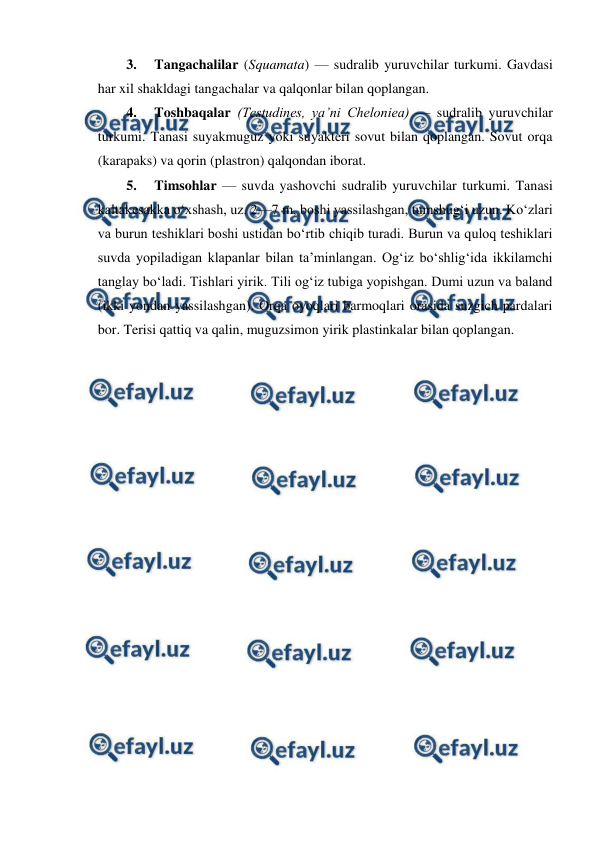  
 
3. 
Tangachalilar (Squamata) — sudralib yuruvchilar turkumi. Gavdasi 
har xil shakldagi tangachalar va qalqonlar bilan qoplangan.  
4. 
Toshbaqalar (Testudines, yaʼni Cheloniea) — sudralib yuruvchilar 
turkumi. Tanasi suyakmuguz yoki suyakteri sovut bilan qoplangan. Sovut orqa 
(karapaks) va qorin (plastron) qalqondan iborat.  
5. 
Timsohlar — suvda yashovchi sudralib yuruvchilar turkumi. Tanasi 
kaltakesakka oʻxshash, uz. 2—7 m, boshi yassilashgan, tumshugʻi uzun. Koʻzlari 
va burun teshiklari boshi ustidan boʻrtib chiqib turadi. Burun va quloq teshiklari 
suvda yopiladigan klapanlar bilan taʼminlangan. Ogʻiz boʻshligʻida ikkilamchi 
tanglay boʻladi. Tishlari yirik. Tili ogʻiz tubiga yopishgan. Dumi uzun va baland 
(ikki yondan yassilashgan). Orqa oyoqlari barmoqlari orasida suzgich pardalari 
bor. Terisi qattiq va qalin, muguzsimon yirik plastinkalar bilan qoplangan.  
 
