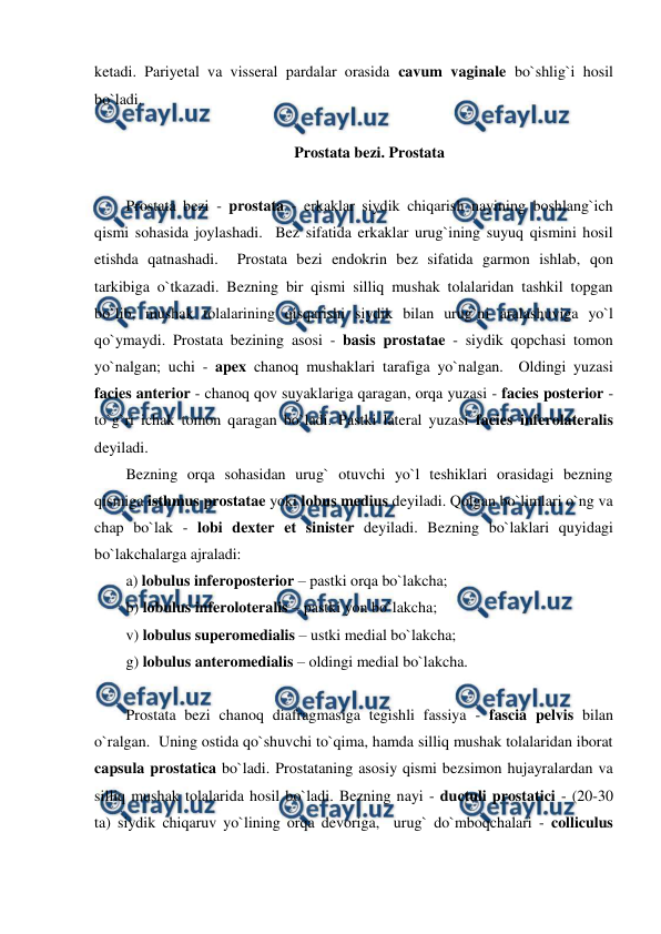  
 
ketadi. Pariyetal va visseral pardalar orasida cavum vaginale bo`shlig`i hosil 
bo`ladi.  
 
Prostata bezi. Prostata 
 
Prostata bezi - prostata - erkaklar siydik chiqarish nayining boshlang`ich 
qismi sohasida joylashadi.  Bez sifatida erkaklar urug`ining suyuq qismini hosil 
etishda qatnashadi.  Prostata bezi endokrin bez sifatida garmon ishlab, qon 
tarkibiga o`tkazadi. Bezning bir qismi silliq mushak tolalaridan tashkil topgan 
bo`lib, mushak tolalarining qisqarishi siydik bilan urug`ni aralashuviga yo`l 
qo`ymaydi. Prostata bezining asosi - basis prostatae - siydik qopchasi tomon 
yo`nalgan; uchi - apex chanoq mushaklari tarafiga yo`nalgan.  Oldingi yuzasi 
facies anterior - chanoq qov suyaklariga qaragan, orqa yuzasi - facies posterior - 
to`g`ri ichak tomon qaragan bo`ladi. Pastki lateral yuzasi facies inferolateralis 
deyiladi.  
Bezning orqa sohasidan urug` otuvchi yo`l teshiklari orasidagi bezning 
qismiga isthmus prostatae yoki lobus medius deyiladi. Qolgan bo`limlari o`ng va 
chap bo`lak - lobi dexter et sinister deyiladi. Bezning bo`laklari quyidagi 
bo`lakchalarga ajraladi: 
a) lobulus inferoposterior – pastki orqa bo`lakcha;  
b) lobulus inferoloteralis – pastki yon bo`lakcha;  
v) lobulus superomedialis – ustki medial bo`lakcha;  
g) lobulus anteromedialis – oldingi medial bo`lakcha. 
 
Prostata bezi chanoq diafragmasiga tegishli fassiya - fascia pelvis bilan 
o`ralgan.  Uning ostida qo`shuvchi to`qima, hamda silliq mushak tolalaridan iborat 
capsula prostatica bo`ladi. Prostataning asosiy qismi bezsimon hujayralardan va 
silliq mushak tolalarida hosil bo`ladi. Bezning nayi - ductuli prostatici - (20-30 
ta) siydik chiqaruv yo`lining orqa devoriga,  urug` do`mboqchalari - colliculus 
