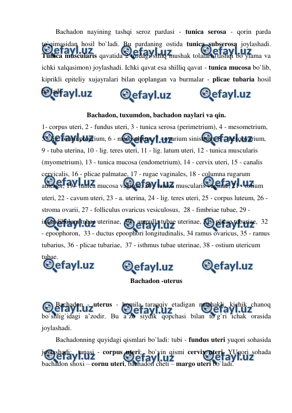  
 
Bachadon nayining tashqi seroz pardasi - tunica serosa - qorin parda 
to`qimasidan hosil bo`ladi. Bu pardaning ostida tunica subserosa joylashadi. 
Tunica muscularis qavatida 2 turdagi silliq mushak tolalari (tashqi bo`ylama va 
ichki xalqasimon) joylashadi. Ichki qavat esa shilliq qavat - tunica mucosa bo`lib, 
kiprikli epiteliy xujayralari bilan qoplangan va burmalar - plicae tubaria hosil 
bo`ladi.  
 
Bachadon, tuxumdon, bachadon naylari va qin. 
1- corpus uteri, 2 - fundus uteri, 3 - tunica serosa (perimetrium), 4 - mesometrium, 
5 - lig. ovarii proprium, 6 - mesosalpinx, 7 - ovarium sinistrum, 8 - mesoovarium, 
9 - tuba uterina, 10 - lig. teres uteri, 11 - lig. latum uteri, 12 - tunica muscularis 
(myometrium), 13 - tunica mucosa (endometrium), 14 - cervix uteri, 15 - canalis 
cervicalis, 16 - plicae palmatae, 17 - rugae vaginales, 18 - columna rugarum 
anterior, 19 - tunica mucosa vaginae, 20 - tunica muscularis vaginae, 21 - ostium 
uteri, 22 - cavum uteri, 23 - a. uterina, 24 - lig. teres uteri, 25 - corpus luteum, 26 - 
stroma ovarii, 27 - folliculus ovaricus vesiculosus,  28 - fimbriae tubae, 29 - 
infundibulum tubae uterinae,  30 - ampulla tubae uterinae, 31 - plicae tubariae,  32 
- epoophoron,  33 - ductus epoophori longitudinalis, 34 ramus ovaricus, 35 - ramus 
tubarius, 36 - plicae tubariae,  37 - isthmus tubae uterinae, 38 - ostium utericum 
tubae.  
 
Bachadon -uterus 
 
Bachadon - uterus - homila taraqqiy etadigan mushakli, kichik chanoq 
bo`shlig`idagi a’zodir. Bu a’zo siydik qopchasi bilan to`g`ri ichak orasida 
joylashadi.  
Bachadonning quyidagi qismlari bo`ladi: tubi - fundus uteri yuqori sohasida 
joylashadi;  tanasi - corpus uteri;  bo`yin qismi cervix uteri. YUqori sohada 
bachadon shoxi – cornu uteri, bachadon cheti – margo uteri bo`ladi.  
 
