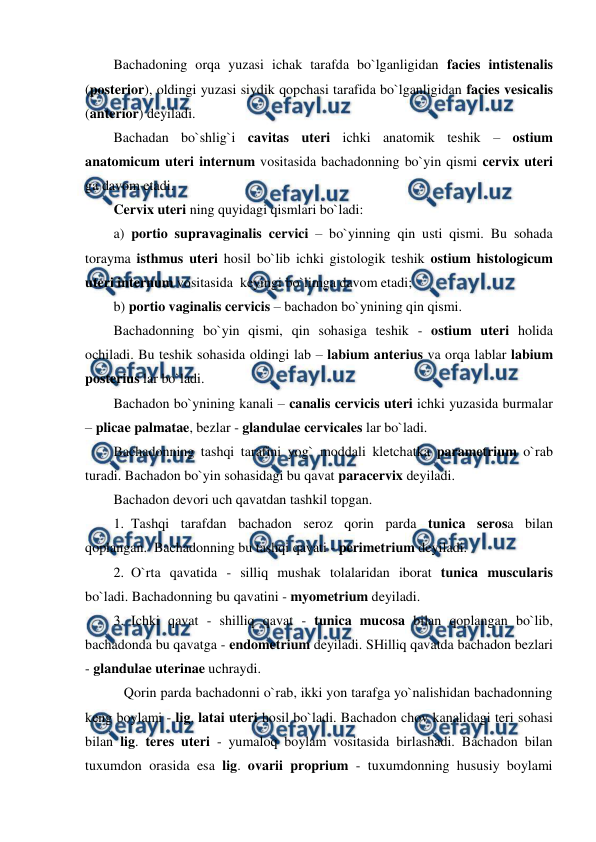  
 
Bachadoning orqa yuzasi ichak tarafda bo`lganligidan facies intistenalis 
(posterior), oldingi yuzasi siydik qopchasi tarafida bo`lganligidan facies vesicalis 
(anterior) deyiladi.  
Bachadan bo`shlig`i cavitas uteri ichki anatomik teshik – ostium 
anatomicum uteri internum vositasida bachadonning bo`yin qismi cervix uteri 
ga davom etadi.  
Cervix uteri ning quyidagi qismlari bo`ladi:  
a) portio supravaginalis cervici – bo`yinning qin usti qismi. Bu sohada 
torayma isthmus uteri hosil bo`lib ichki gistologik teshik ostium histologicum 
uteri internum vositasida  keyingi bo`limga davom etadi;  
b) portio vaginalis cervicis – bachadon bo`ynining qin qismi. 
Bachadonning bo`yin qismi, qin sohasiga teshik - ostium uteri holida 
ochiladi. Bu teshik sohasida oldingi lab – labium anterius va orqa lablar labium 
posterius lar bo`ladi.  
Bachadon bo`ynining kanali – canalis cervicis uteri ichki yuzasida burmalar 
– plicae palmatae, bezlar - glandulae cervicales lar bo`ladi.   
Bachadonning tashqi tarafini yog` moddali kletchatka parametrium o`rab 
turadi. Bachadon bo`yin sohasidagi bu qavat paracervix deyiladi. 
Bachadon devori uch qavatdan tashkil topgan.  
1.  Tashqi tarafdan bachadon seroz qorin parda tunica serosa bilan 
qoplangan.  Bachadonning bu tashqi qavati - perimetrium deyiladi.  
2.  O`rta qavatida - silliq mushak tolalaridan iborat tunica muscularis 
bo`ladi. Bachadonning bu qavatini - myometrium deyiladi.  
3.  Ichki qavat - shilliq qavat - tunica mucosa bilan qoplangan bo`lib, 
bachadonda bu qavatga - endometrium deyiladi. SHilliq qavatda bachadon bezlari 
- glandulae uterinae uchraydi.  
   Qorin parda bachadonni o`rab, ikki yon tarafga yo`nalishidan bachadonning 
keng boylami - lig. latai uteri hosil bo`ladi. Bachadon chov kanalidagi teri sohasi 
bilan lig. teres uteri - yumaloq boylam vositasida birlashadi. Bachadon bilan 
tuxumdon orasida esa lig. ovarii proprium - tuxumdonning hususiy boylami 
