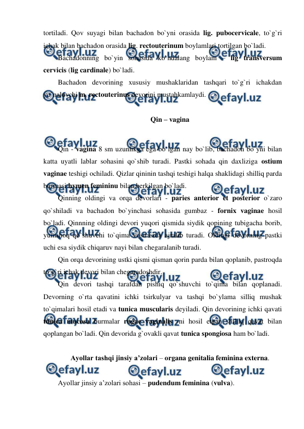  
 
tortiladi. Qov suyagi bilan bachadon bo`yni orasida lig. pubocervicale, to`g`ri 
ichak bilan bachadon orasida lig. rectouterinum boylamlari tortilgan bo`ladi.    
Bachadonning bo`yin sohasida ko`ndalang boylam – lig transversum 
cervicis (lig cardinale) bo`ladi.   
Bachadon devorining xususiy mushaklaridan tashqari to`g`ri ichakdan 
yo`naluvchi m. rectouterinus devorini mustahkamlaydi. 
 
Qin – vagina 
 
Qin - vagina 8 sm uzunlikga ega bo`lgan nay bo`lib, bachadon bo`yni bilan 
katta uyatli lablar sohasini qo`shib turadi. Pastki sohada qin daxliziga ostium 
vaginae teshigi ochiladi. Qizlar qininin tashqi teshigi halqa shaklidagi shilliq parda 
burmasi hymen femininu bilan berkilgan bo`ladi.  
Qinning oldingi va orqa devorlari - paries anterior et posterior o`zaro 
qo`shiladi va bachadon bo`yinchasi sohasida gumbaz - fornix vaginae hosil 
bo`ladi. Qinnning oldingi devori yuqori qismida siydik qopining tubigacha borib, 
yumshoq qo`shuvchi to`qima vositasida ajralib turadi. Oldingi devorning pastki 
uchi esa siydik chiqaruv nayi bilan chegaralanib turadi.  
Qin orqa devorining ustki qismi qisman qorin parda bilan qoplanib, pastroqda 
to`g`ri ichak devori bilan chegaradoshdir.  
Qin devori tashqi tarafdan pishiq qo`shuvchi to`qima bilan qoplanadi. 
Devorning o`rta qavatini ichki tsirkulyar va tashqi bo`ylama silliq mushak 
to`qimalari hosil etadi va tunica muscularis deyiladi. Qin devorining ichki qavati 
tunica mucosa burmalar rugae vaginalis -ni hosil etgan shilliq qavat bilan 
qoplangan bo`ladi. Qin devorida g`ovakli qavat tunica spongiosa ham bo`ladi. 
  
Ayollar tashqi jinsiy a’zolari – organa genitalia feminina externa. 
 
Ayollar jinsiy a’zolari sohasi – pudendum feminina (vulva). 
