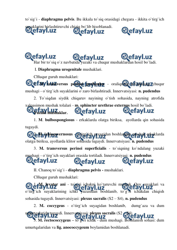  
 
to`sig`i - diaphragma pelvis. Bu ikkala to`siq orasidagi chegara - ikkita o`tirg`ich 
suyaklarini birlashtiruvchi chiziq bo`lib hisoblanadi.  
 
 
 
 
Har bir to`siq o`z navbatida yuzaki va chuqur mushaklardan hosil bo`ladi.  
 I. Diaphragma urogenitale mushaklari.  
CHuqur guruh mushaklari:  
1. M. transversus perinei profundus - oraliqning ko`ndalang chuqur 
mushagi - o`tirg`ich suyaklarini o`zaro birlashtiradi. Innervatsiyasi: n. pudendus 
2. To`siqdan siydik chiqaruv nayining o`tish sohasida, nayning atrofida 
xalqasimon mushak tolalari - m. sphincter urethrae externus hosil bo`ladi.  
Yuzaki mushaklar.  
1. M. bulbospongiosus - erkaklarda olatga biriksa,  ayollarda qin sohasida 
tugaydi.  
2. M. ichiocavernosus - o`tirg`ich suyagidan boshlangan mushak erkaklarda 
olatga biriksa, ayollarda klitor sohasida tugaydi. Innervatsiyasi: n. pudendus  
3. M. transversus perinei superficialis - to`siqning ko`ndalang yuzaki 
mushagi - o`tirg`ich suyaklari orasida tortiladi. Innervatsiyasi: n. pudendus  
 
II. Chanoq to`sig`i - diaphragma pelvis - mushaklari.  
CHuqur guruh mushaklari:  
1. M. levator ani - to`g`ri ichakni ko`taruvchi mushak. Qov suyaklari va 
o`tirg`ich suyaklarining ichki yuzasidan boshlanib, to`g`ri ichakdan chiqish 
sohasida tugaydi. Innervatsiyasi: plexus sacralis (S2 – S4), n. pudendus 
2. M. coccygeus - o`tirg`ich suyagidan boshlanib,  dumg`aza va dum 
umurtqalarida tugaydi. Innervatsiyasi: plexus sacralis (S2 – S4) 
3. M. rectococcygeus – to`g`ri ichak - dum mushagi. Boshlanish sohasi: dum 
umurtqalaridan va lig. anococcygeum boylamidan boshlanadi.  
