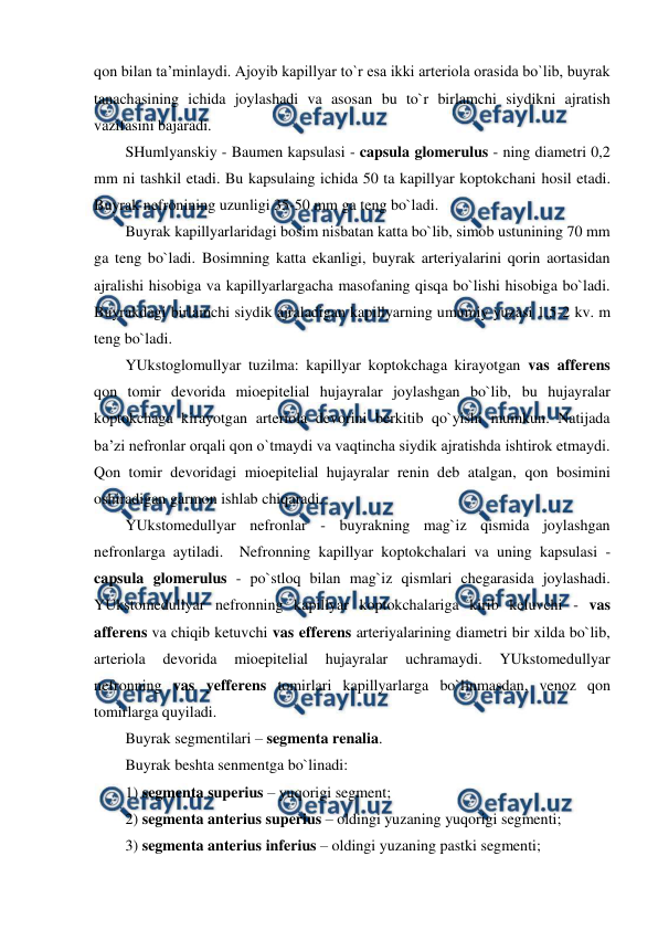  
 
qon bilan ta’minlaydi. Ajoyib kapillyar to`r esa ikki arteriola orasida bo`lib, buyrak 
tanachasining ichida joylashadi va asosan bu to`r birlamchi siydikni ajratish 
vazifasini bajaradi.  
SHumlyanskiy - Baumen kapsulasi - capsula glomerulus - ning diametri 0,2 
mm ni tashkil etadi. Bu kapsulaing ichida 50 ta kapillyar koptokchani hosil etadi. 
Buyrak nefronining uzunligi 35-50 mm ga teng bo`ladi.  
Buyrak kapillyarlaridagi bosim nisbatan katta bo`lib, simob ustunining 70 mm 
ga teng bo`ladi. Bosimning katta ekanligi, buyrak arteriyalarini qorin aortasidan 
ajralishi hisobiga va kapillyarlargacha masofaning qisqa bo`lishi hisobiga bo`ladi. 
Buyrakdagi birlamchi siydik ajraladigan kapillyarning umumiy yuzasi 1,5-2 kv. m 
teng bo`ladi.  
YUkstoglomullyar tuzilma: kapillyar koptokchaga kirayotgan vas afferens 
qon tomir devorida mioepitelial hujayralar joylashgan bo`lib, bu hujayralar 
koptokchaga kirayotgan arteriola devorini berkitib qo`yishi mumkun. Natijada 
ba’zi nefronlar orqali qon o`tmaydi va vaqtincha siydik ajratishda ishtirok etmaydi. 
Qon tomir devoridagi mioepitelial hujayralar renin deb atalgan, qon bosimini 
oshiradigan garmon ishlab chiqaradi.  
YUkstomedullyar nefronlar - buyrakning mag`iz qismida joylashgan 
nefronlarga aytiladi.  Nefronning kapillyar koptokchalari va uning kapsulasi - 
capsula glomerulus - po`stloq bilan mag`iz qismlari chegarasida joylashadi. 
YUkstomedullyar nefronning kapillyar koptokchalariga kirib keluvchi - vas 
afferens va chiqib ketuvchi vas efferens arteriyalarining diametri bir xilda bo`lib, 
arteriola 
devorida 
mioepitelial 
hujayralar 
uchramaydi. 
YUkstomedullyar 
nefronning vas yefferens tomirlari kapillyarlarga bo`linmasdan, venoz qon 
tomirlarga quyiladi.  
Buyrak segmentilari – segmenta renalia. 
Buyrak beshta senmentga bo`linadi:  
1) segmenta superius – yuqorigi segment;  
2) segmenta anterius superius – oldingi yuzaning yuqorigi segmenti;  
3) segmenta anterius inferius – oldingi yuzaning pastki segmenti;  
